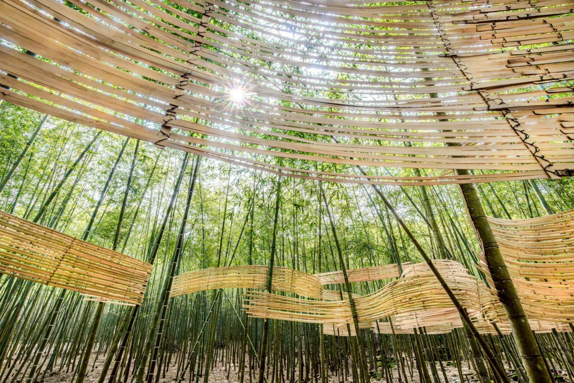 London Design Awards Winner - Six Senses & Nature: 2025 Nantou Bamboo Dream Festival