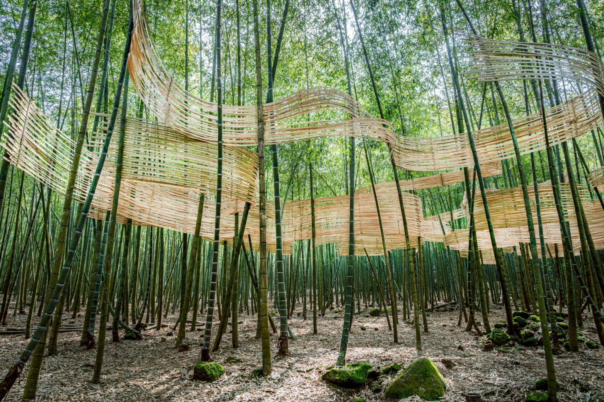 London Design Awards Winner - Six Senses & Nature: 2025 Nantou Bamboo Dream Festival