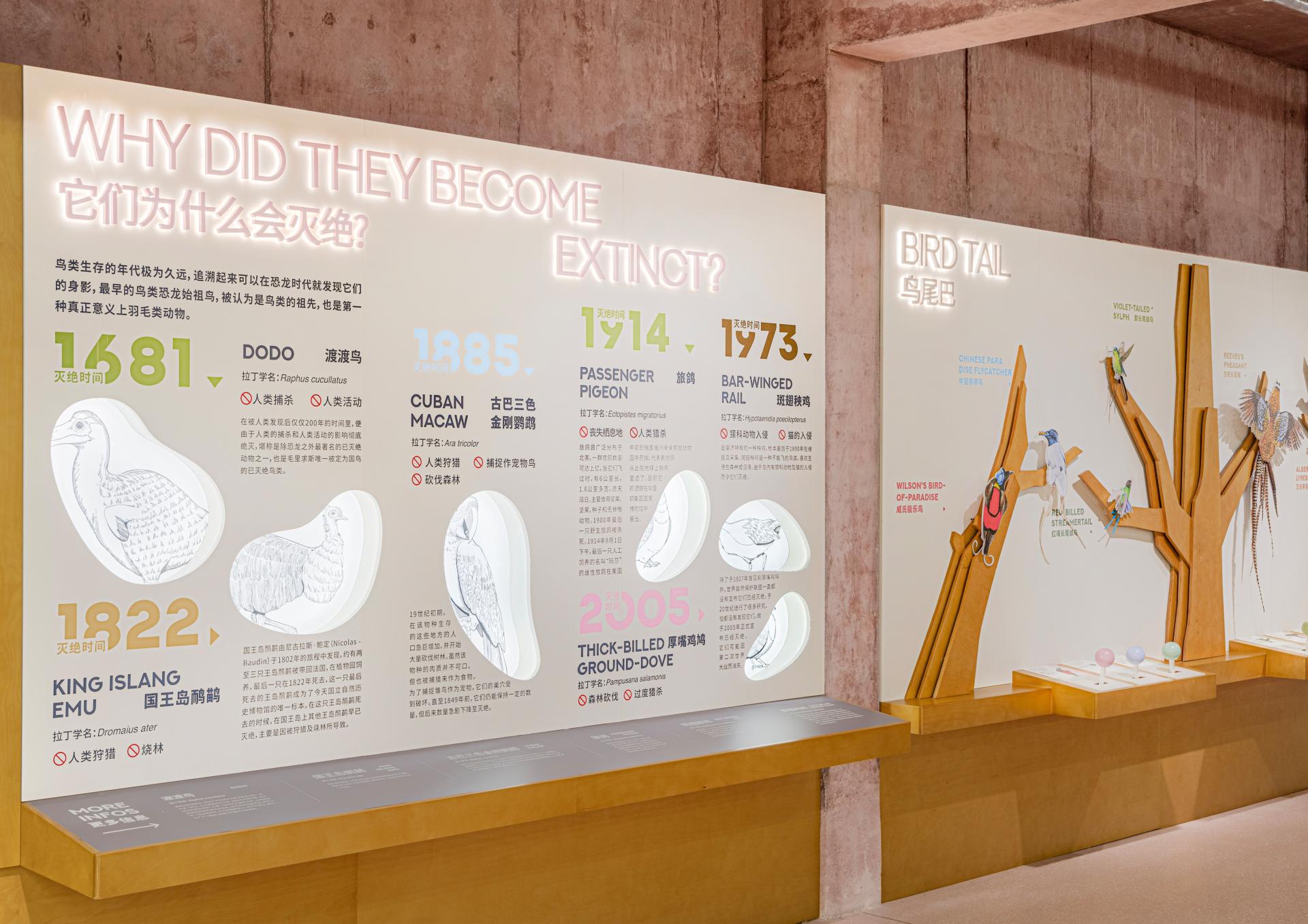 London Design Awards Winner - Bird Life Cycle Science Popularization Base in Papago Land