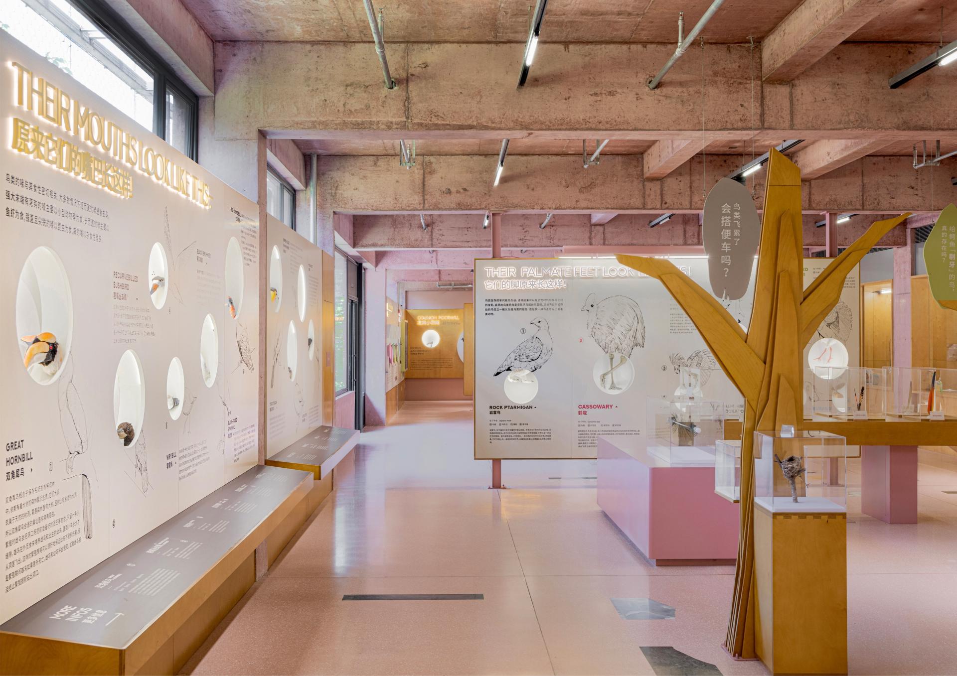 London Design Awards Winner - Bird Life Cycle Science Popularization Base in Papago Land