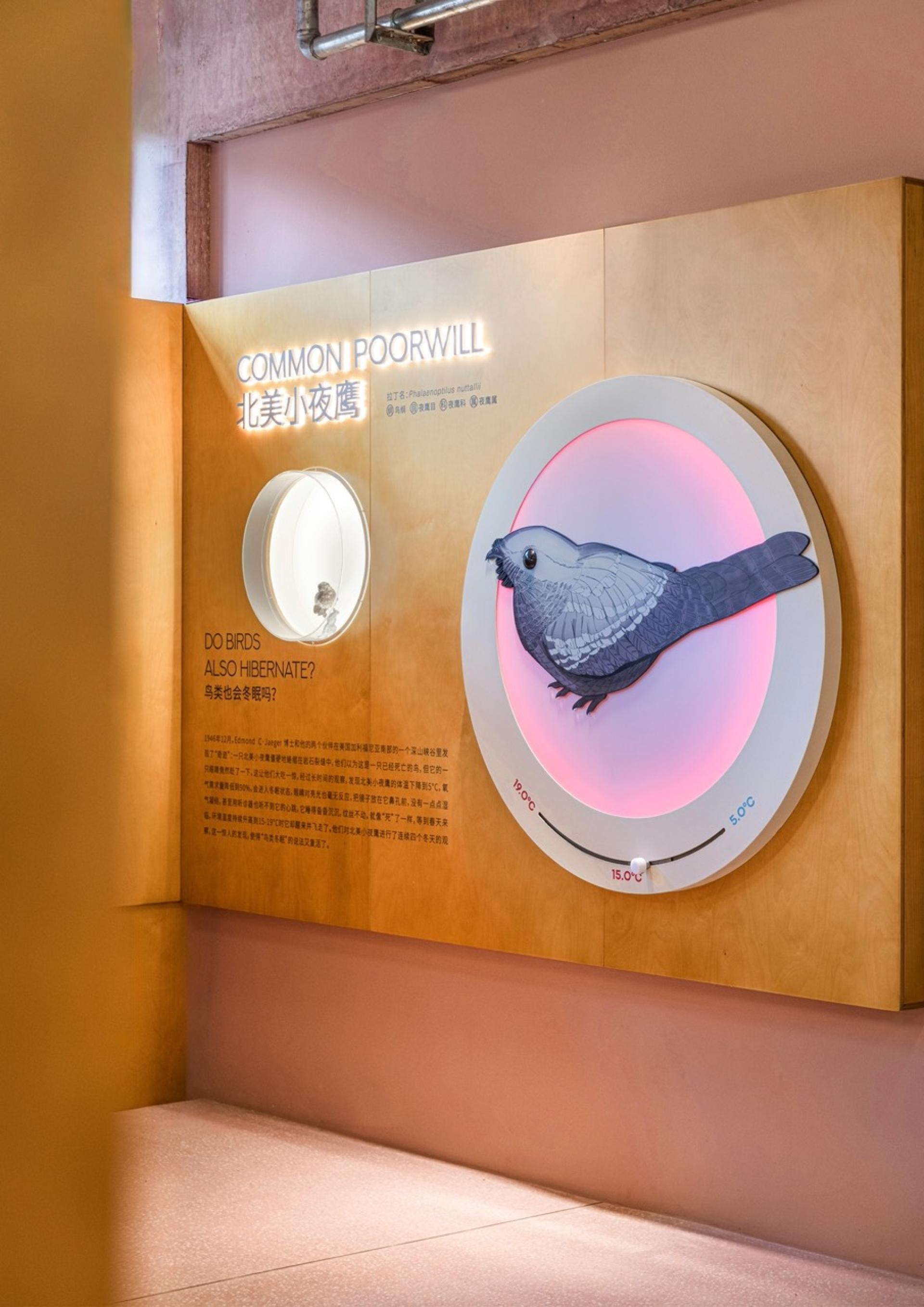 London Design Awards Winner - Bird Life Cycle Science Popularization Base in Papago Land