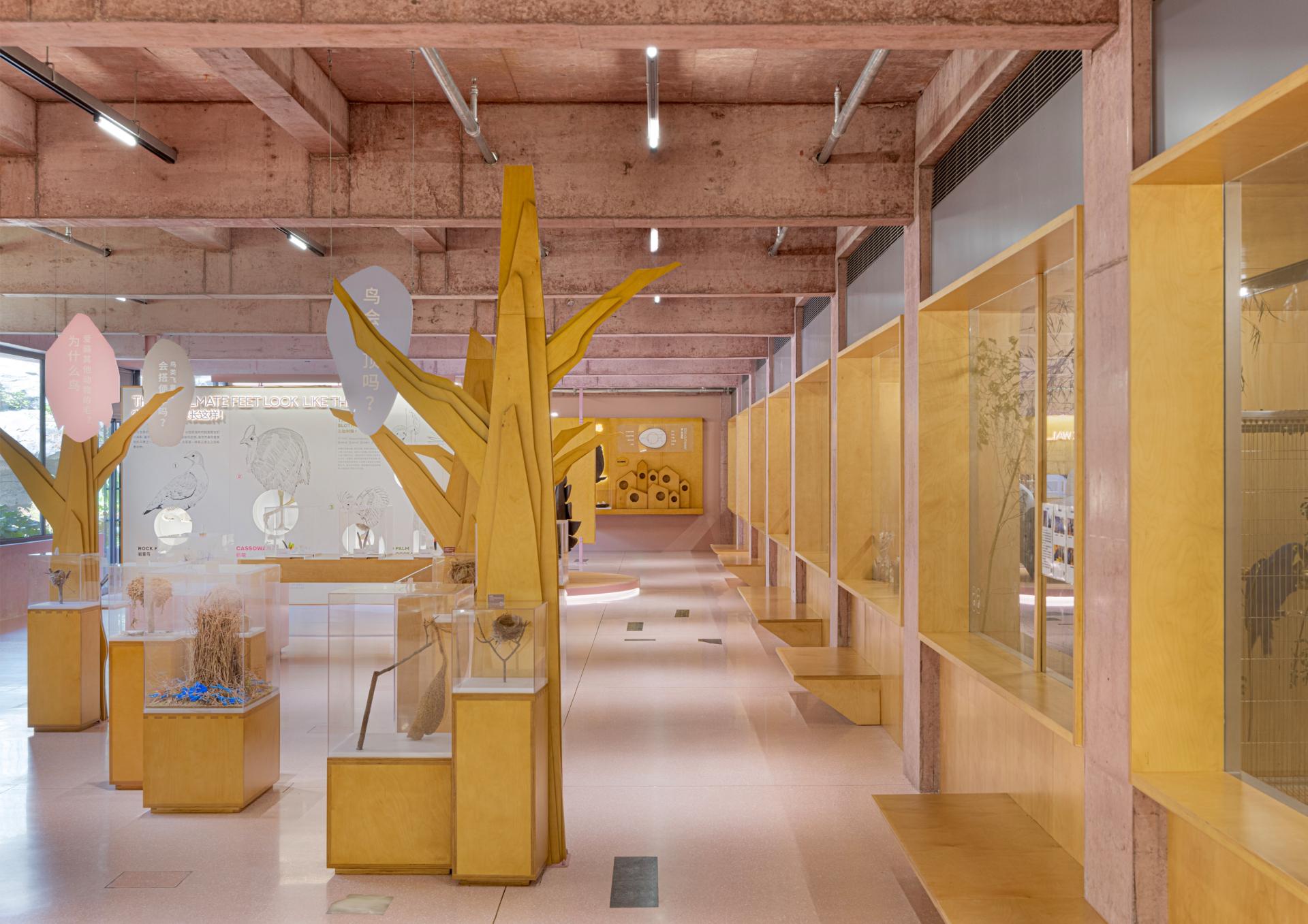London Design Awards Winner - Bird Life Cycle Science Popularization Base in Papago Land