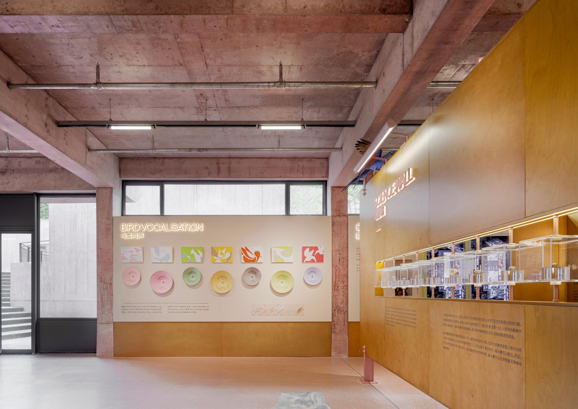 London Design Awards Winner - Bird Life Cycle Science Popularization Base in Papago Land