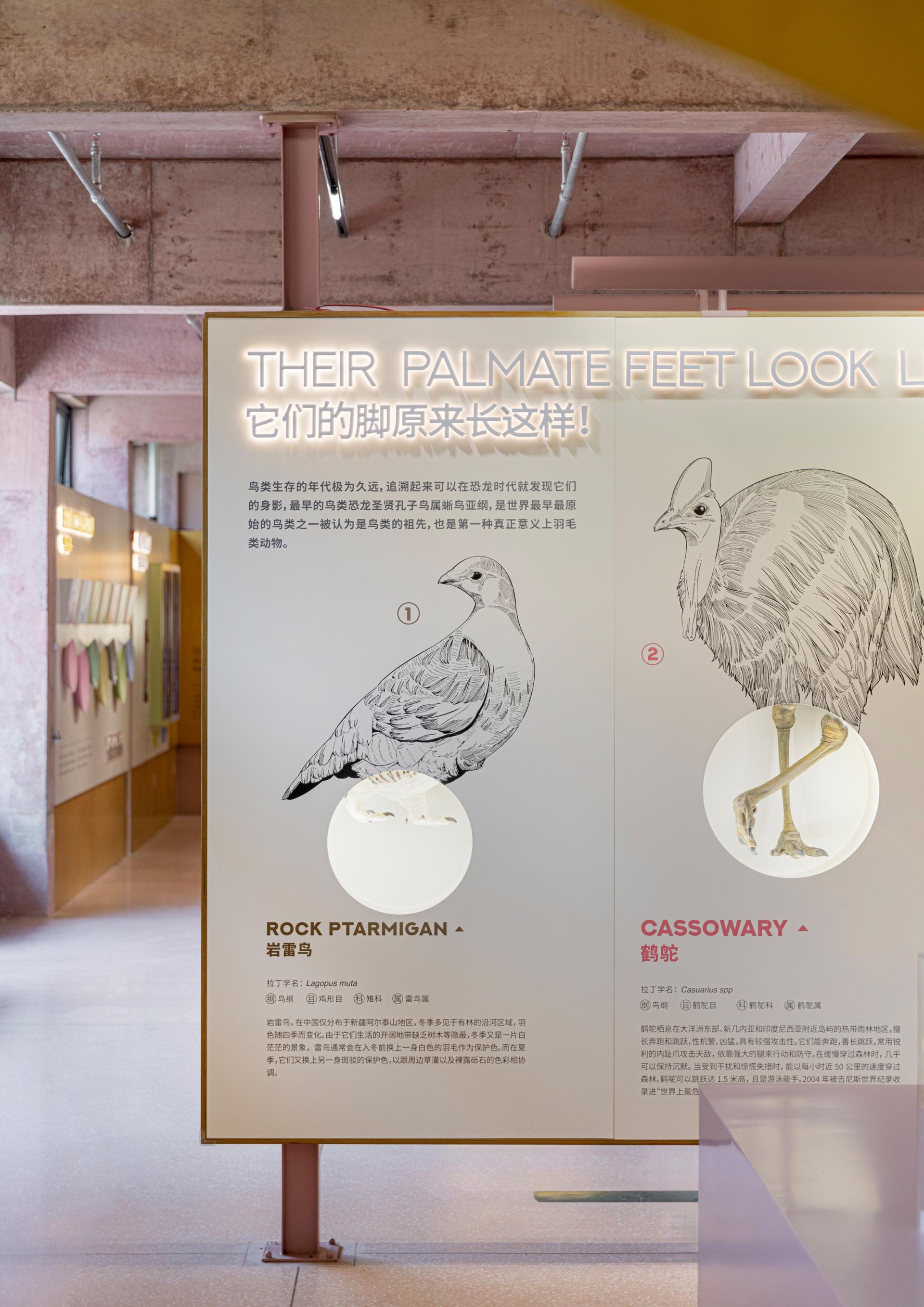London Design Awards Winner - Bird Life Cycle Science Popularization Base in Papago Land