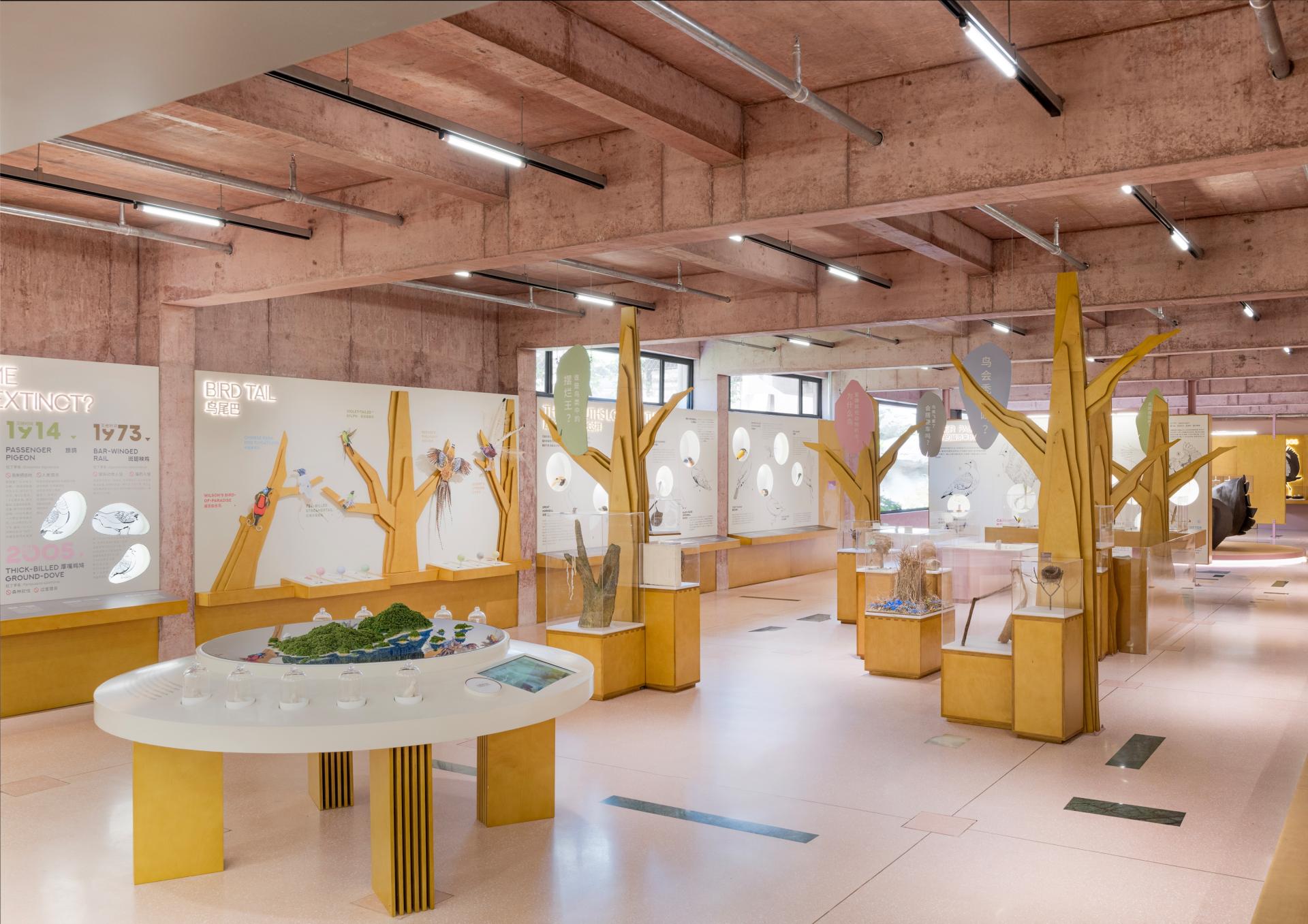 London Design Awards Winner - Bird Life Cycle Science Popularization Base in Papago Land