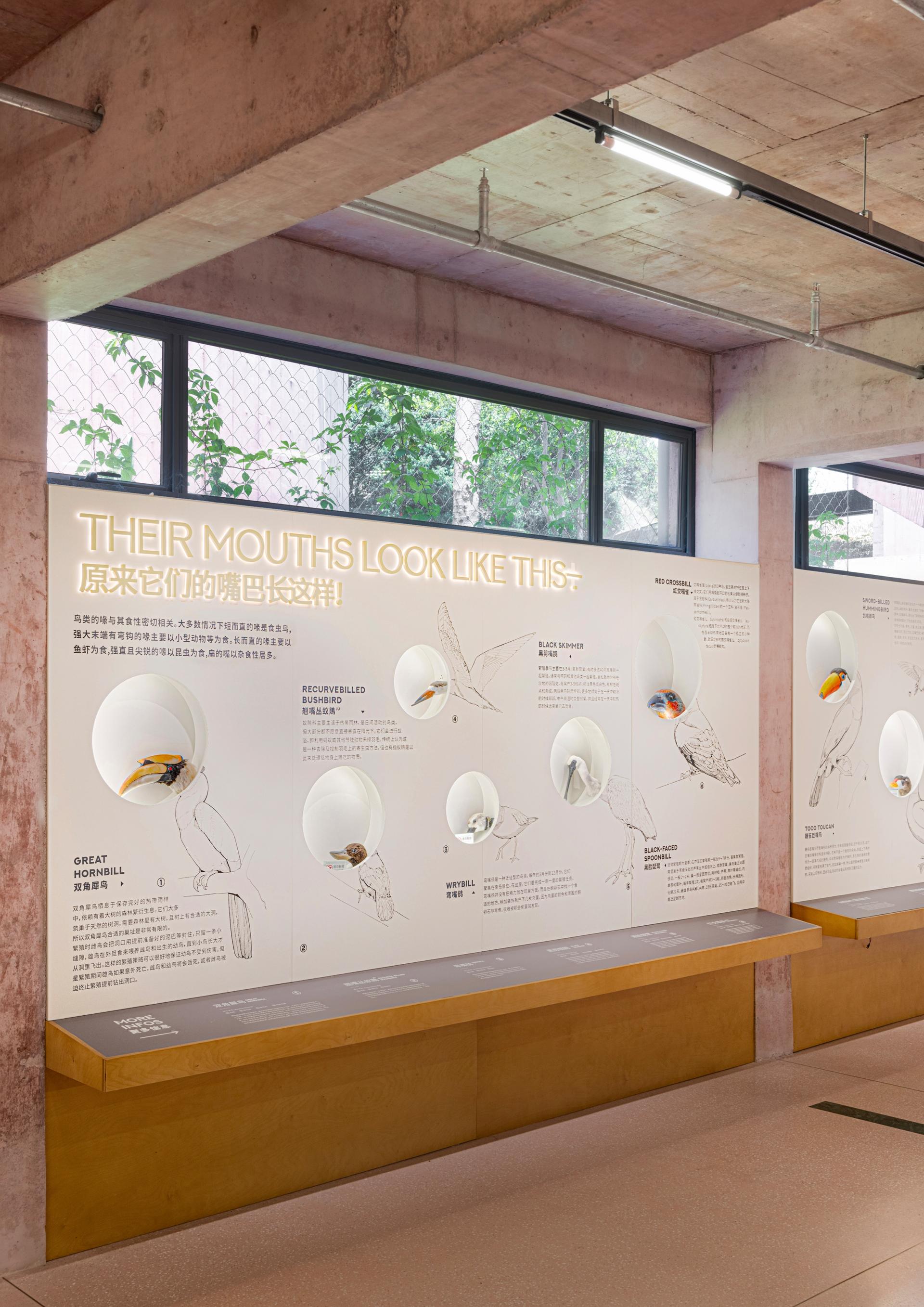 London Design Awards Winner - Bird Life Cycle Science Popularization Base in Papago Land