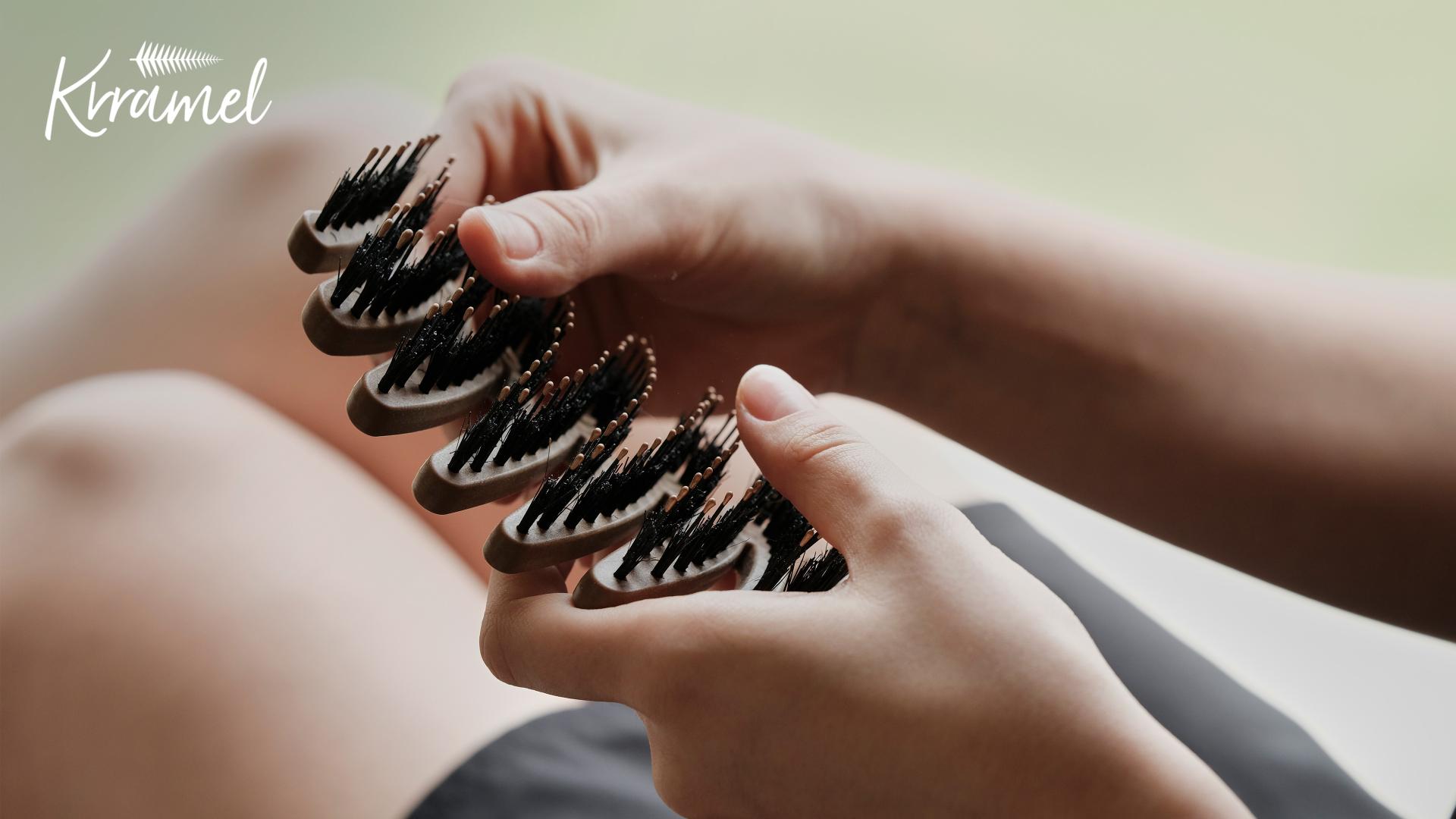 London Design Awards Winner - Pinecone Boar Bristle Brush