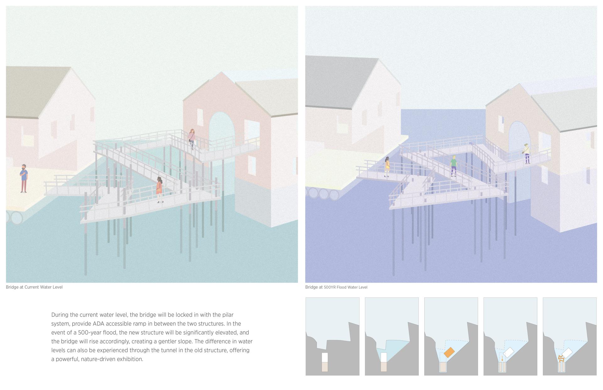 London Design Awards Winner - Life Above Water