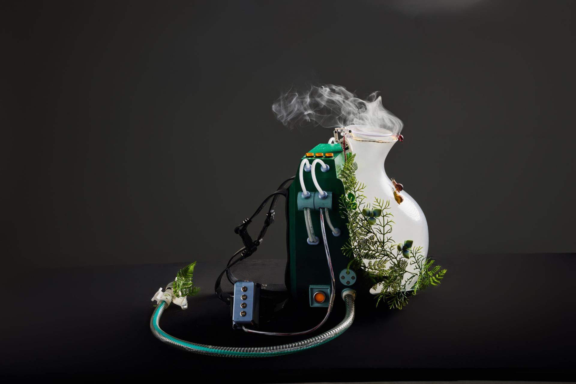 London Design Awards Winner - Econourish Insecta