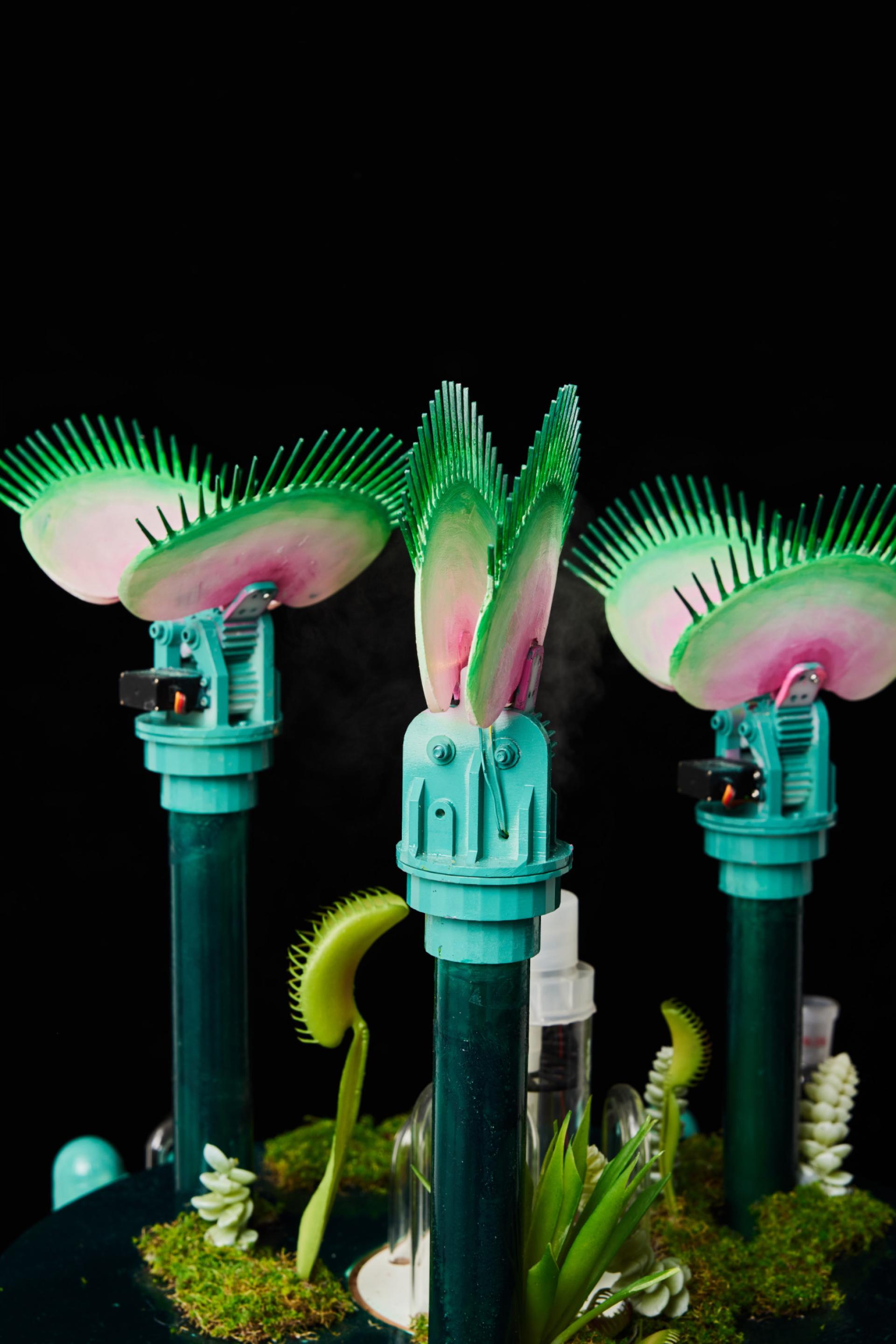 London Design Awards Winner - Econourish Insecta