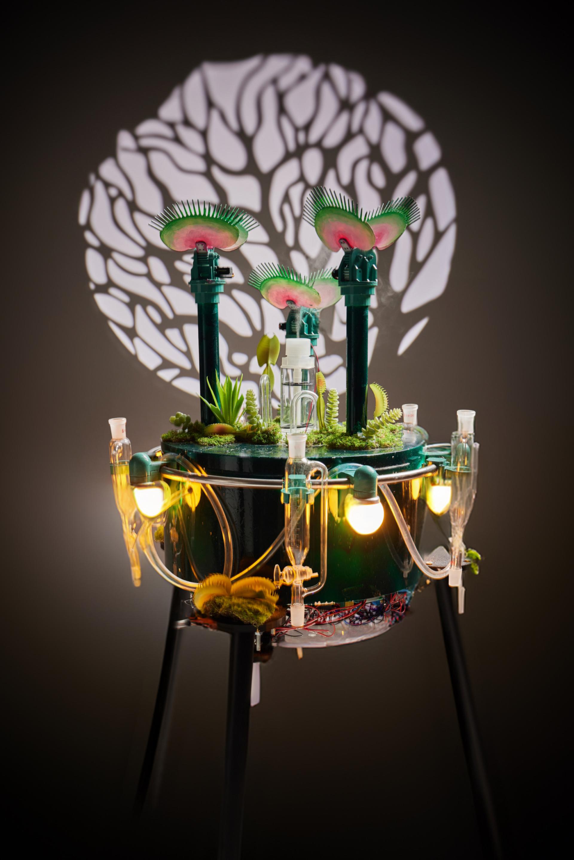 London Design Awards Winner - Econourish Insecta