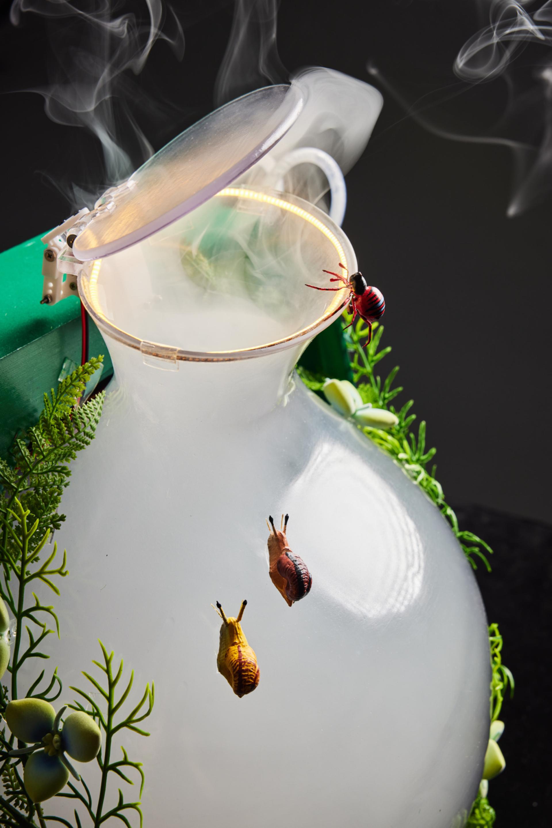 London Design Awards Winner - Econourish Insecta