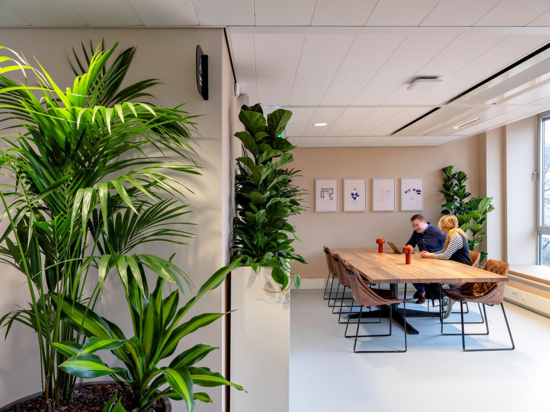 London Design Awards Winner - WeTransfer Amsterdam - a hub for innovation and creativity
