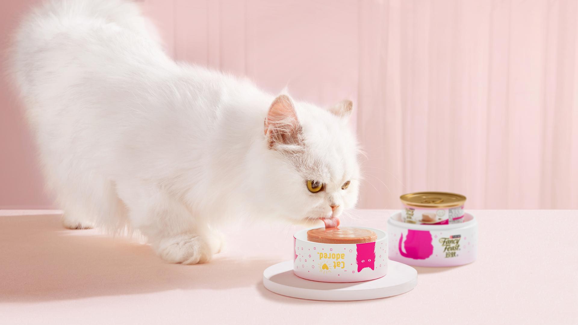 London Design Awards Winner - Nestle Fancy Feast Paté Can Collection