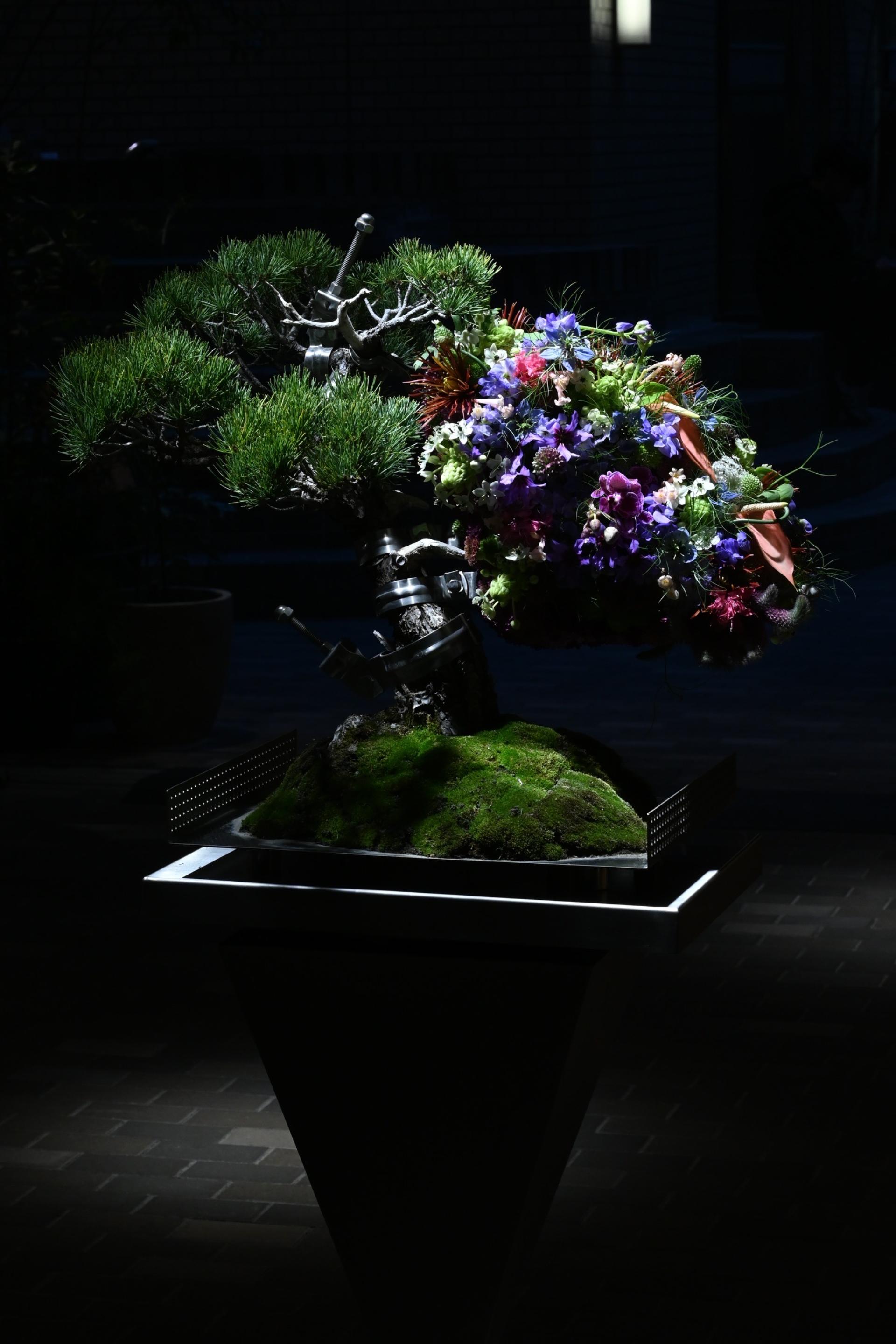 London Design Awards Winner - Issen