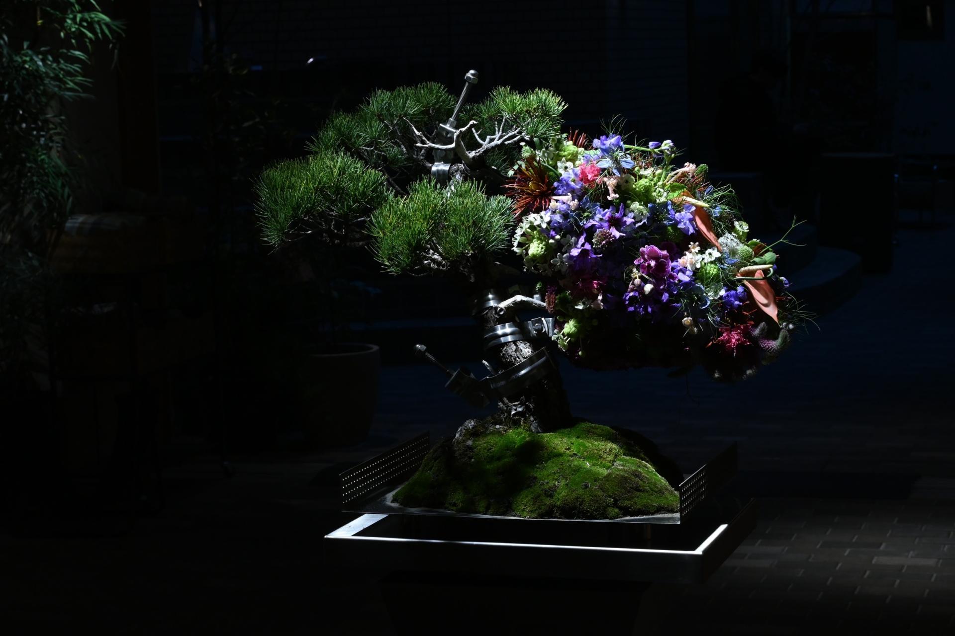 London Design Awards Winner - Issen