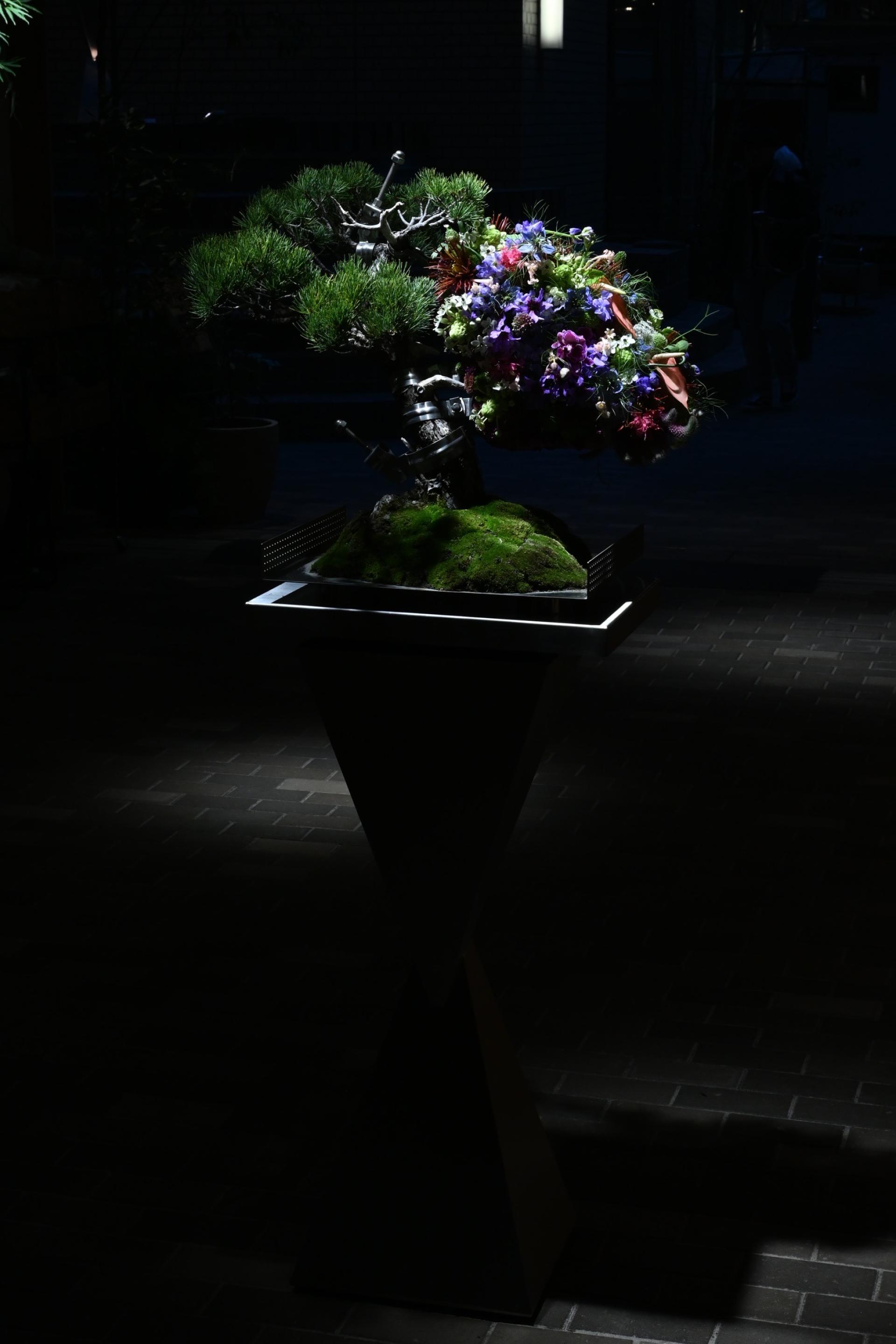 London Design Awards Winner - Issen