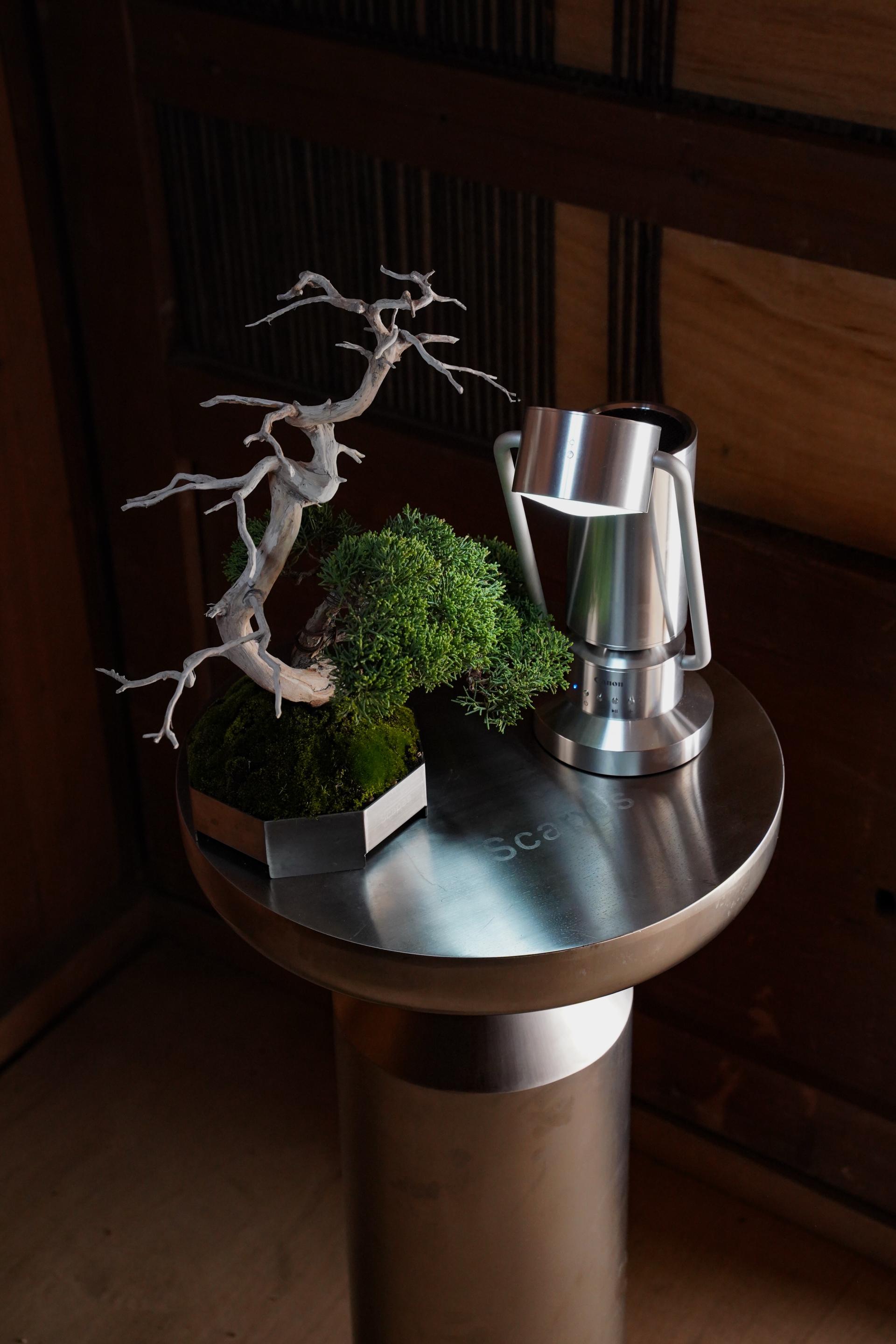 London Design Awards Winner - Scapes BONSAI
