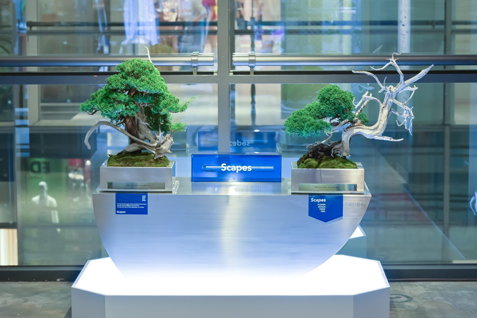 London Design Awards Winner - Scapes BONSAI