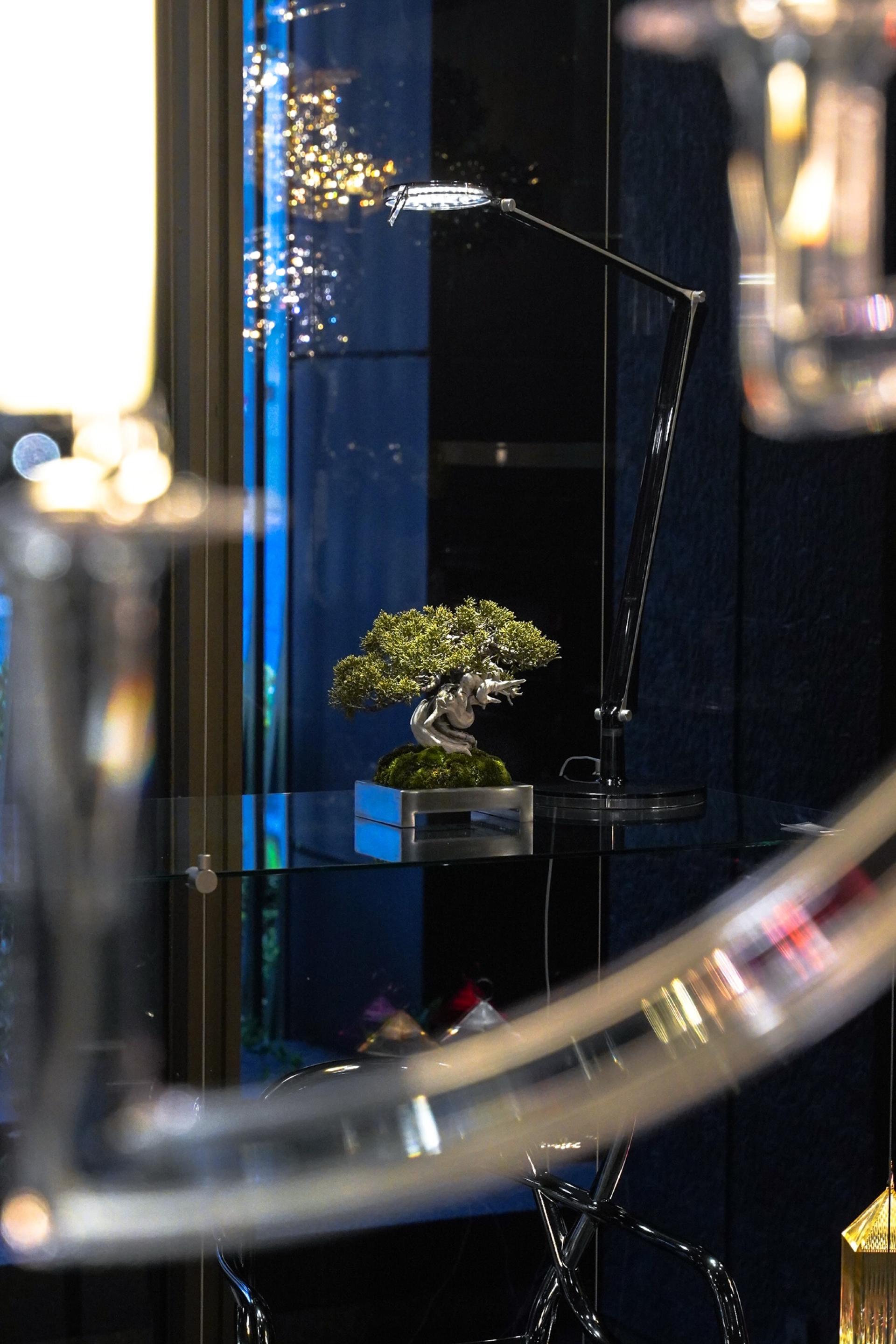 London Design Awards Winner - Scapes BONSAI