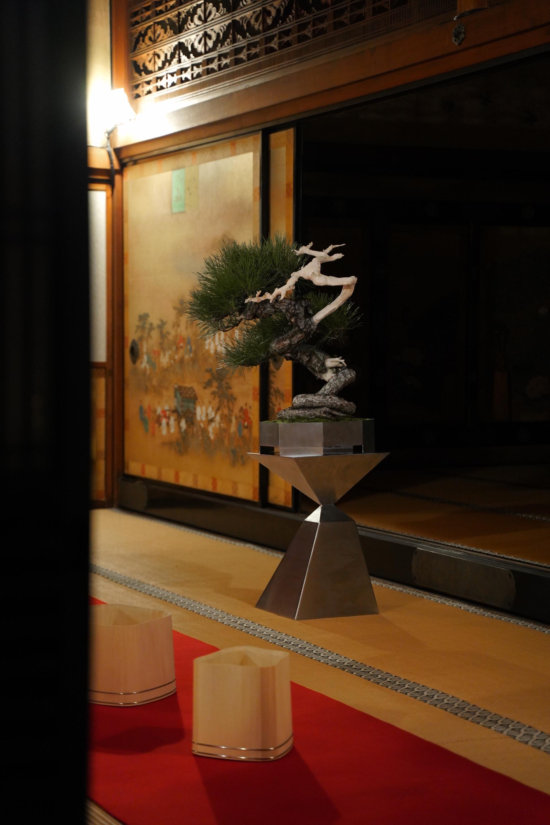 London Design Awards Winner - Scapes BONSAI