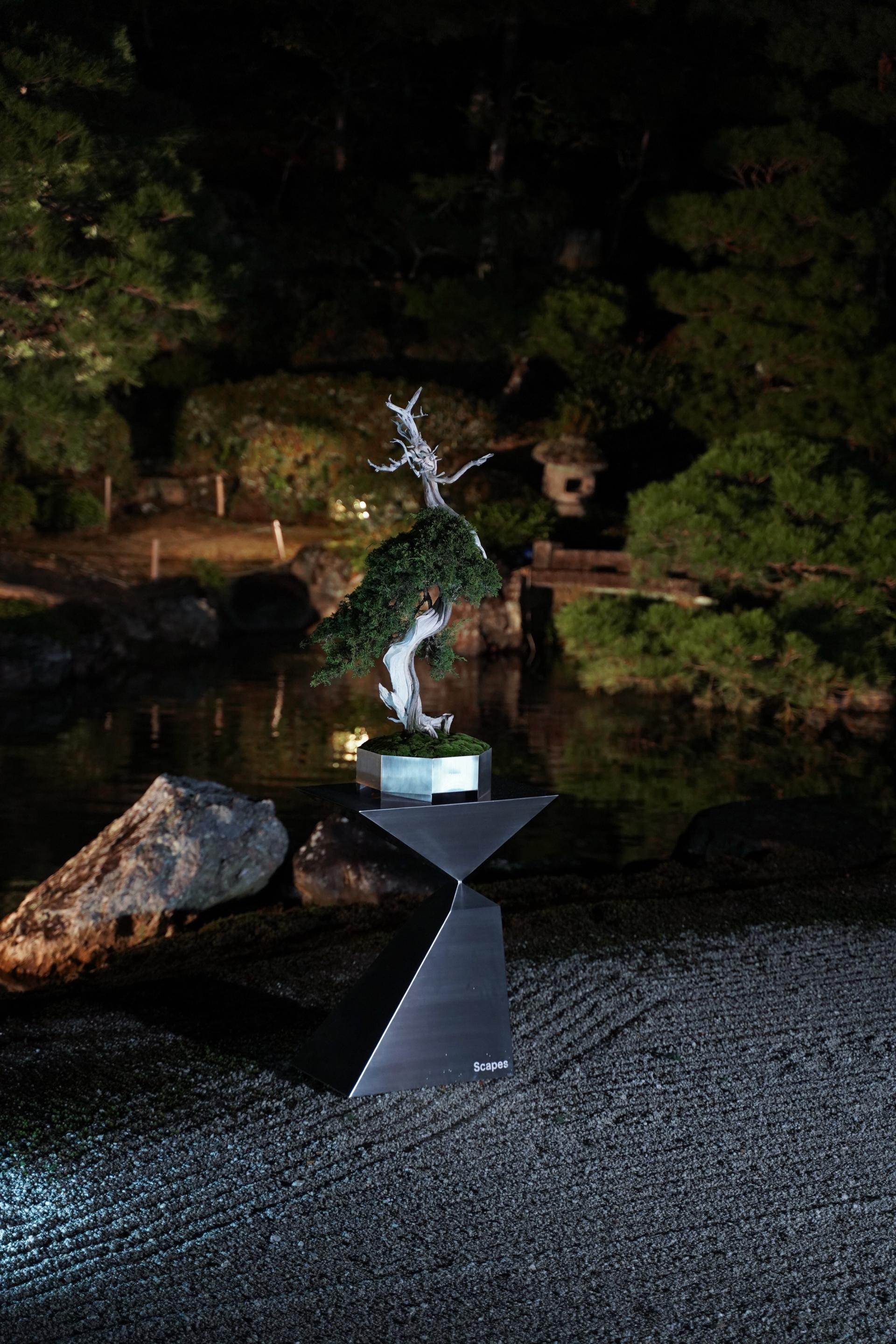 London Design Awards Winner - Scapes BONSAI