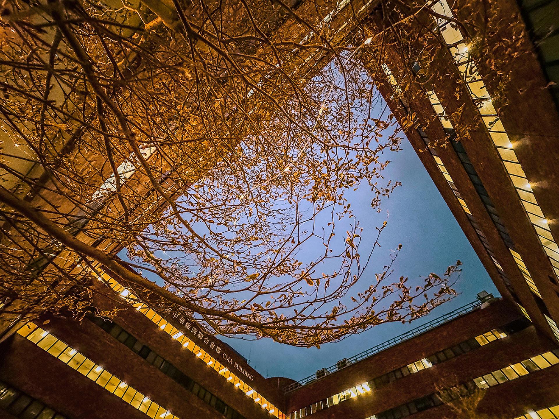 London Design Awards Winner - U Garden