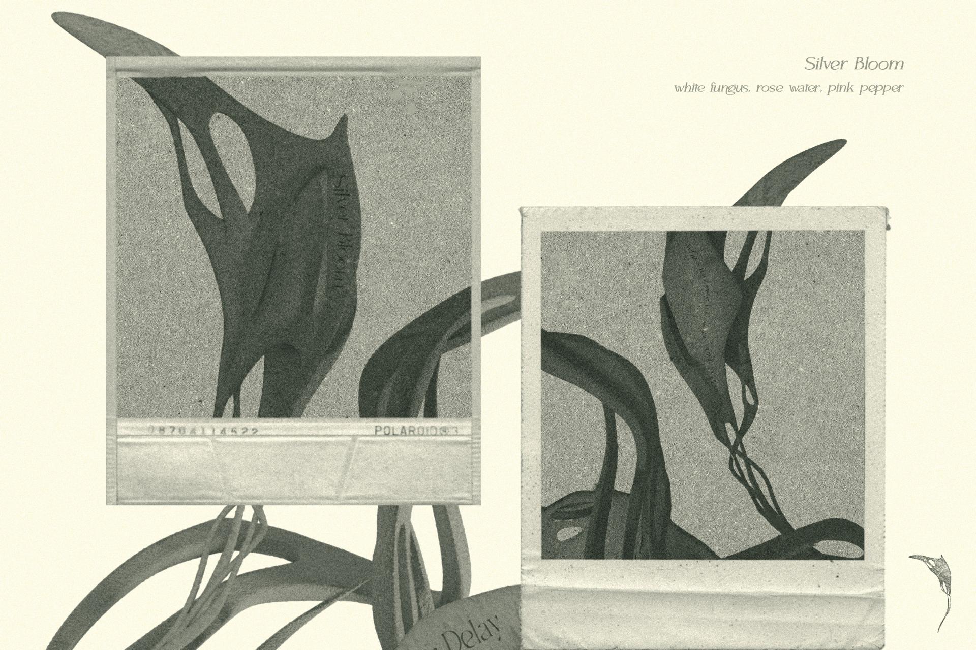 London Design Awards Winner - Botanical & Nature | Conceptual Cocktail Menu