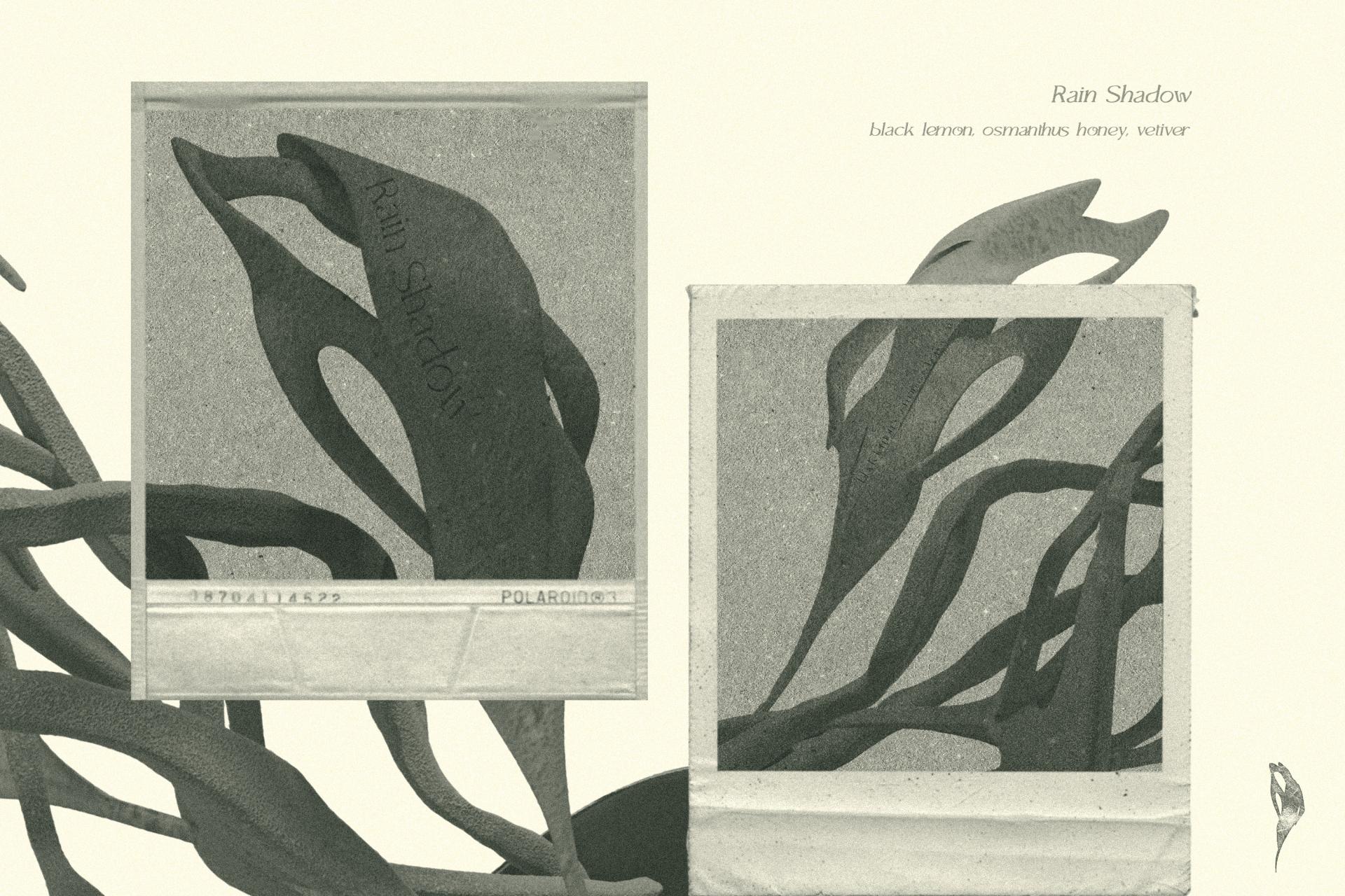 London Design Awards Winner - Botanical & Nature | Conceptual Cocktail Menu