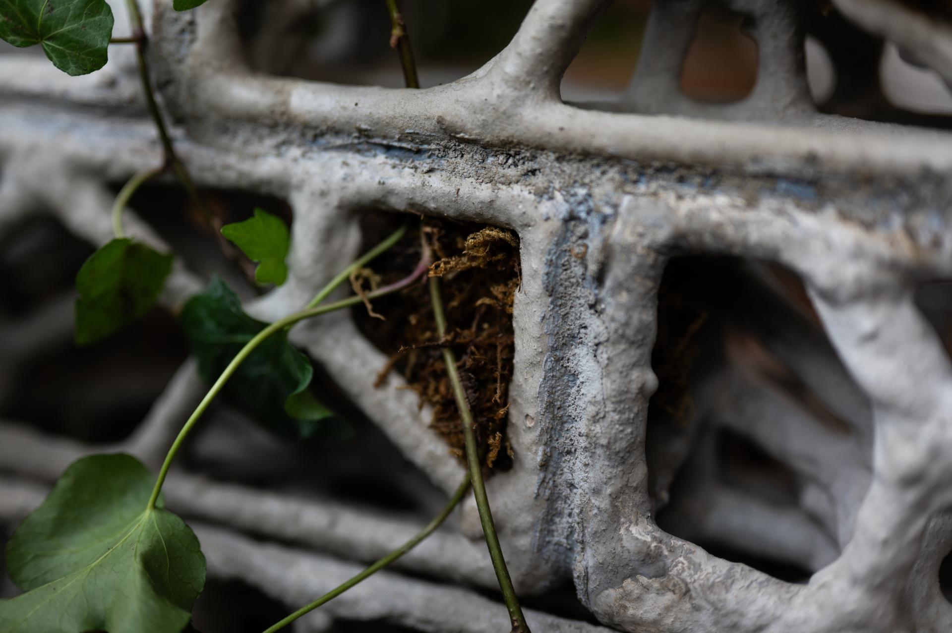 London Design Awards Winner - PhytoSymbiosis Seat
