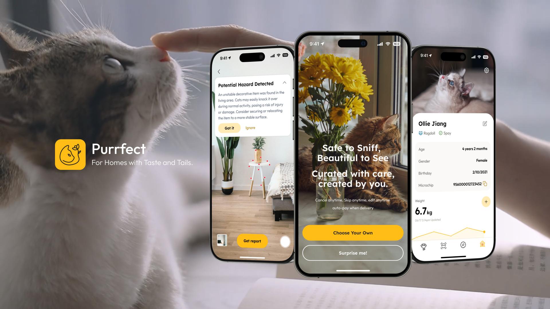 London Design Awards Winner - Purrfect: A Platform for Cat-Safe Living and Floral Joy
