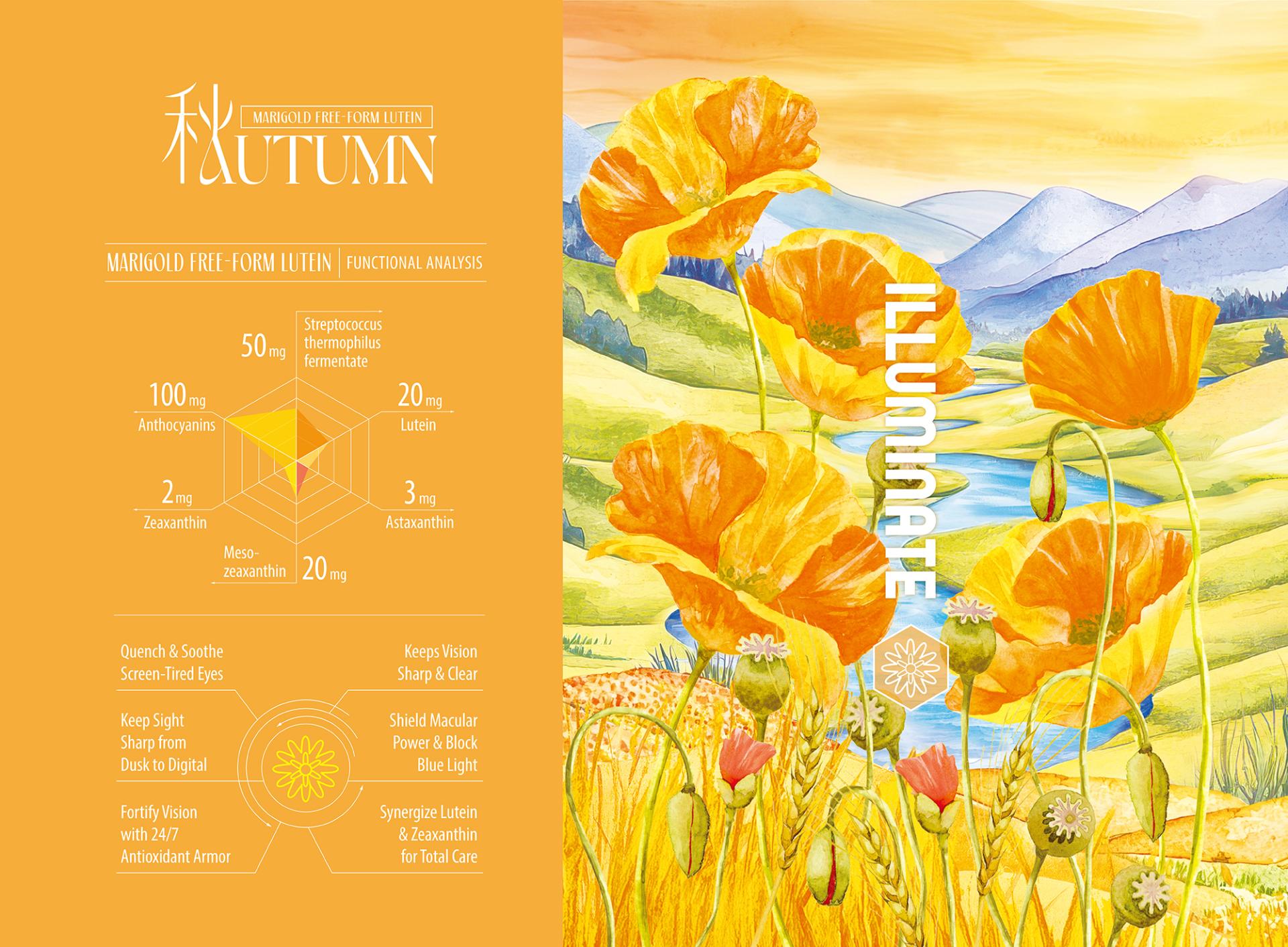London Design Awards Winner - Seasonal Resonance