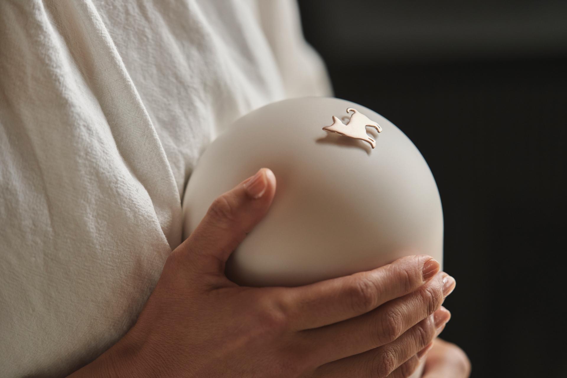 London Design Awards Winner - An Memorial Capsule