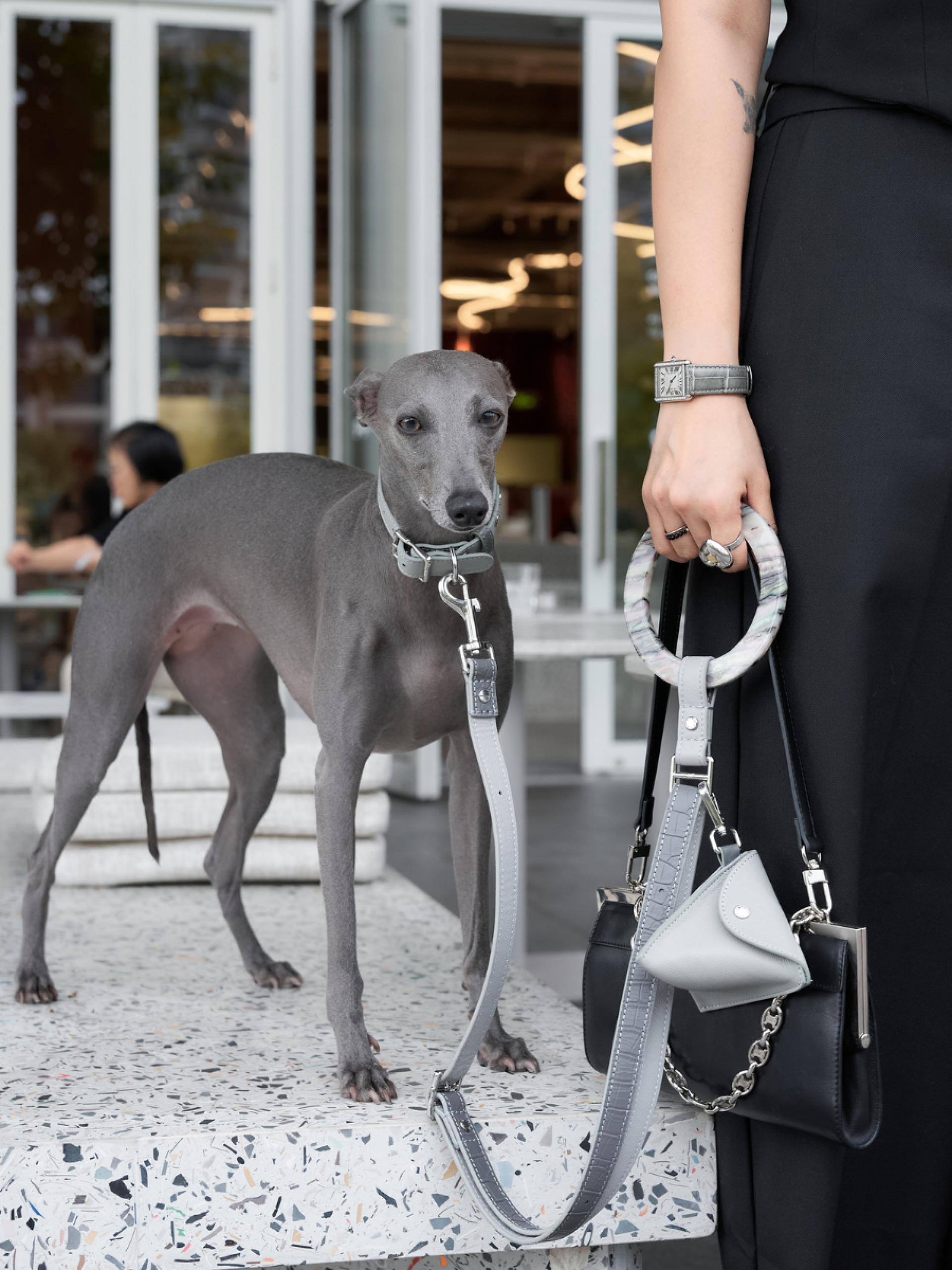 London Design Awards Winner - Bondir Adjustable Leather Dog Leash with Acetate Handle