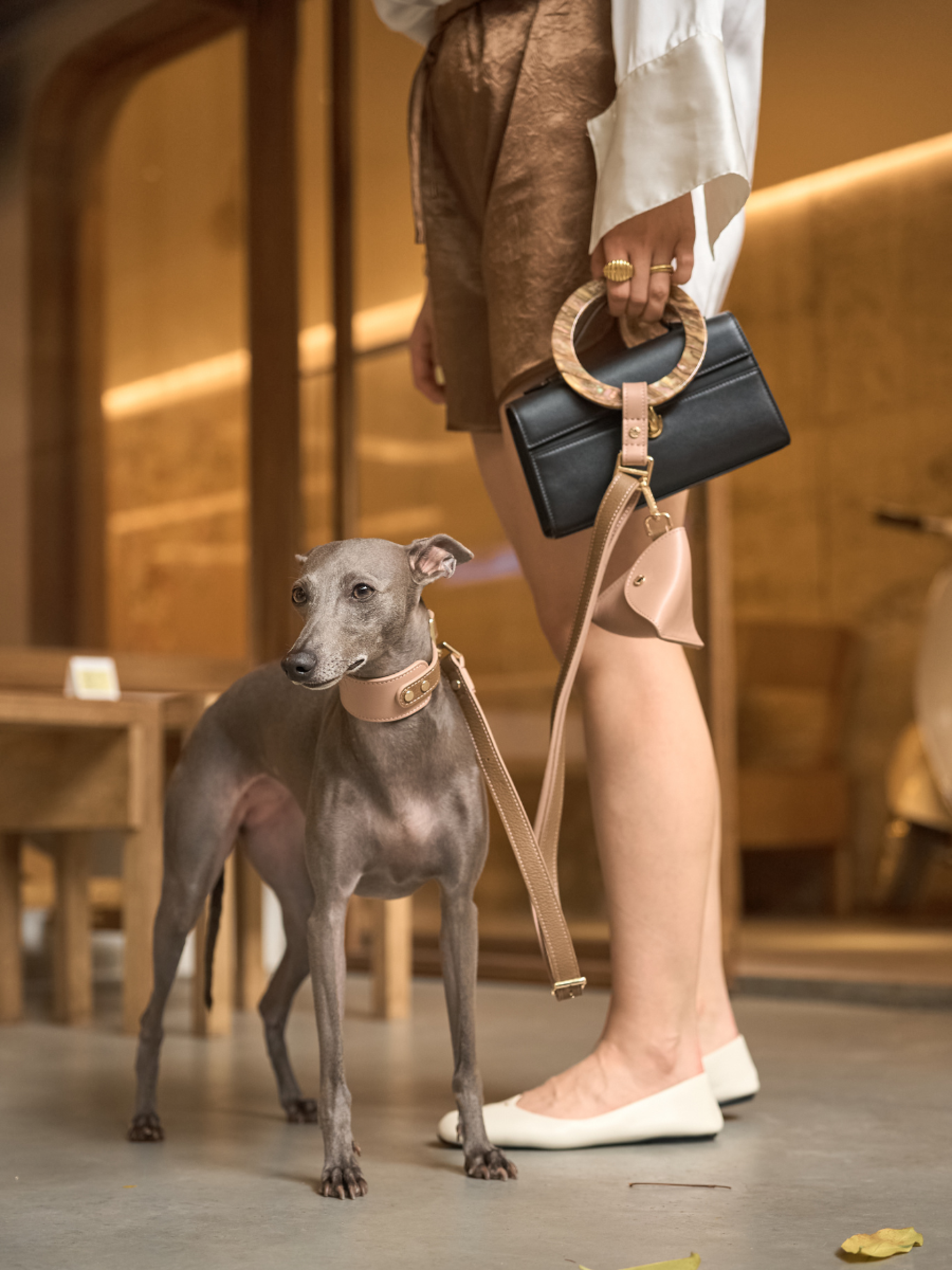 London Design Awards Winner - Bondir Adjustable Leather Dog Leash with Acetate Handle