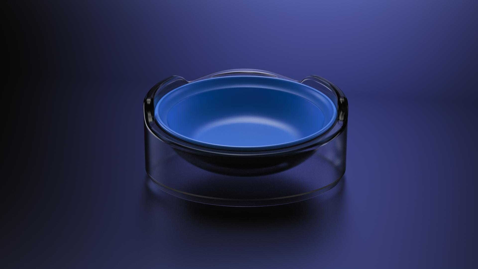 London Design Awards Winner - Bowl for Short-Legged Cats and Dogs
