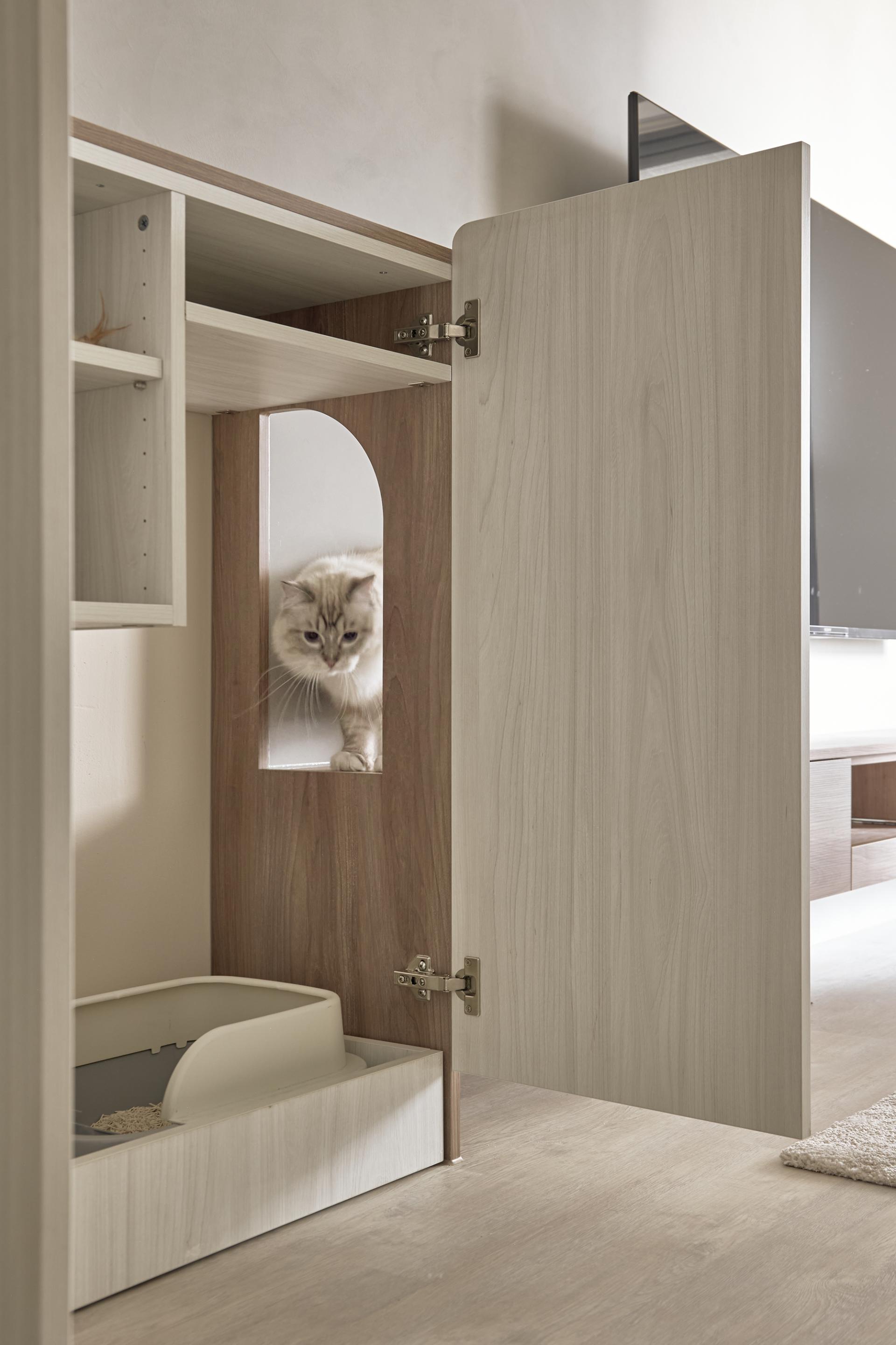 London Design Awards Winner - Cat Companion Sanctuary