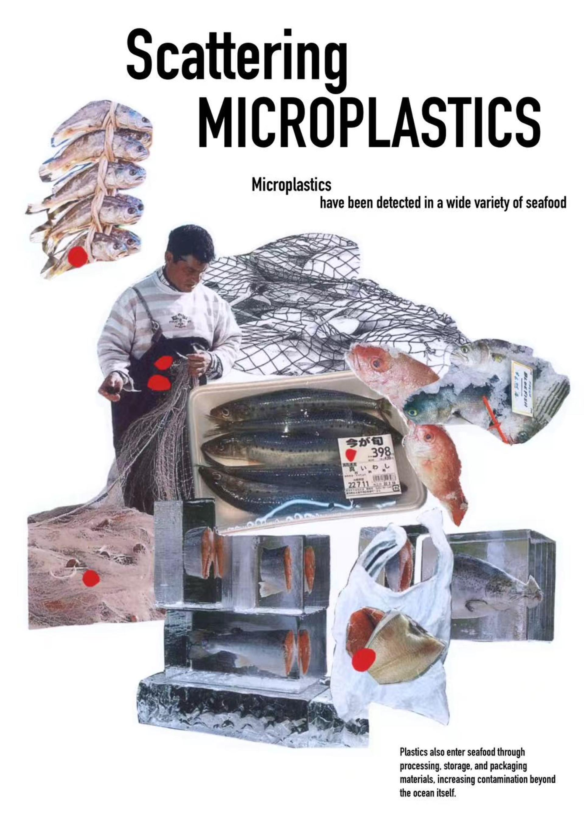 London Design Awards Winner - Ingesting Plastic: How Ocean Pollution Ends Up Inside Us
