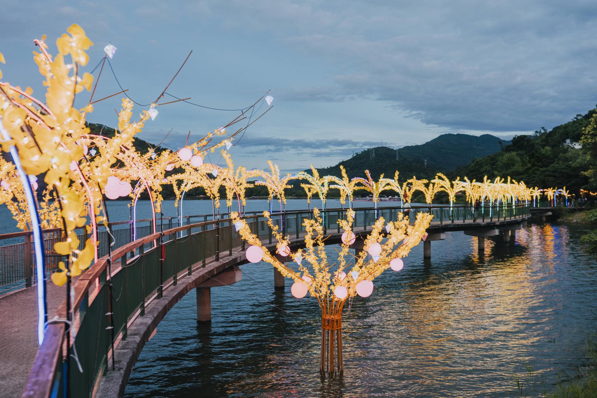 London Design Awards Winner - 2025 Hualien Liyu Lake Midsummer Light Festival