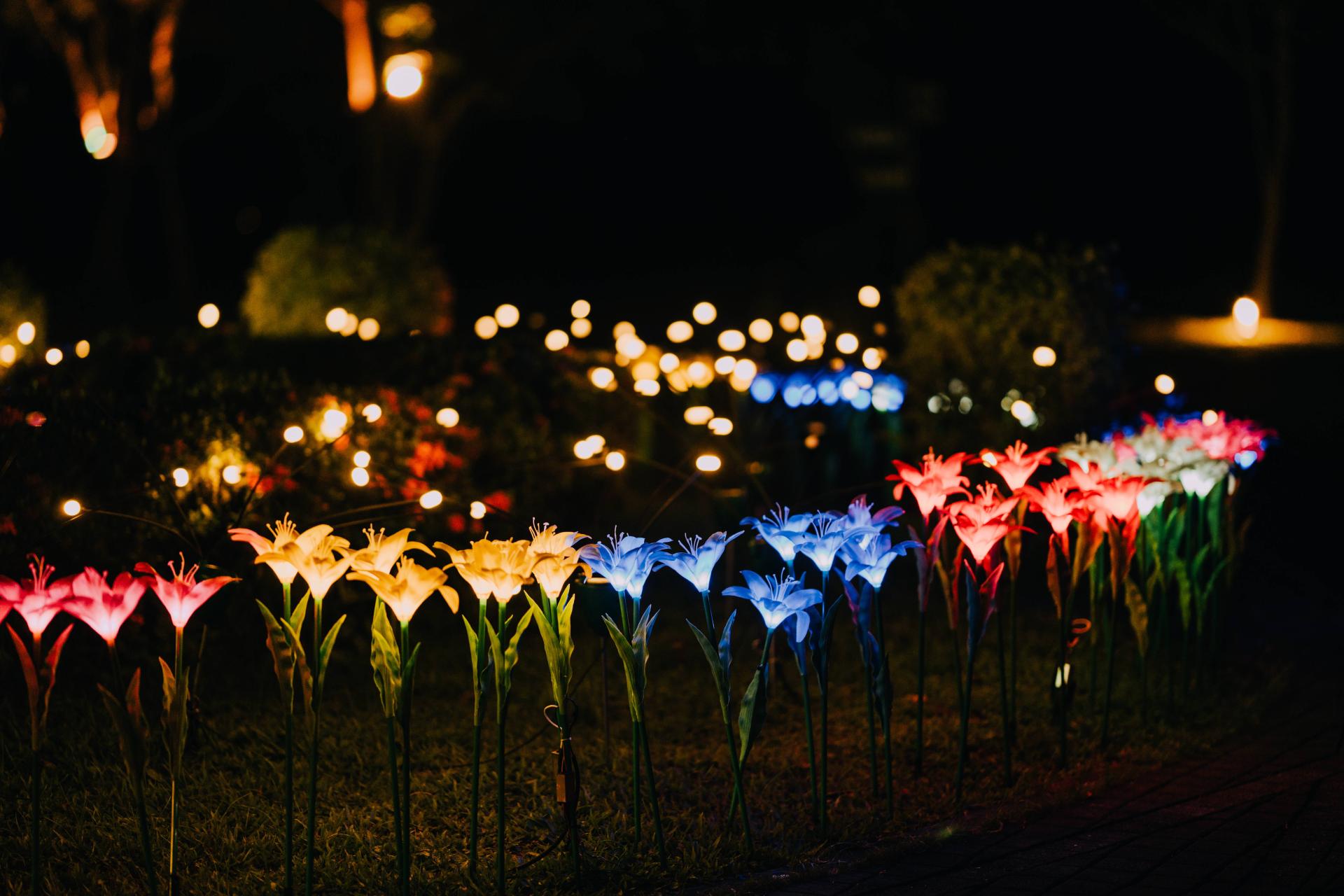 London Design Awards Winner - 2025 Hualien Liyu Lake Midsummer Light Festival
