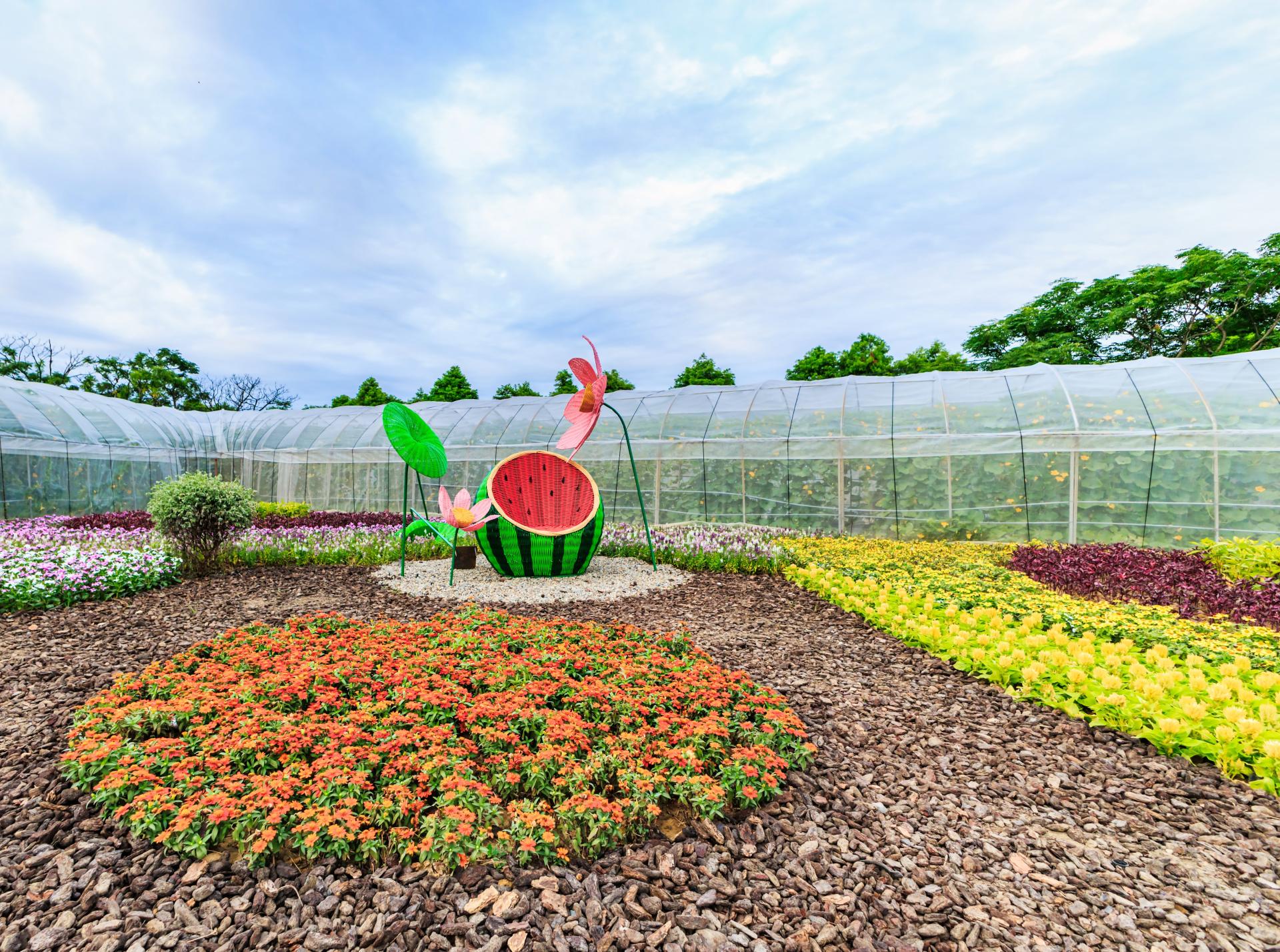 London Design Awards Winner - 2025 Taoyuan Lotus Festival