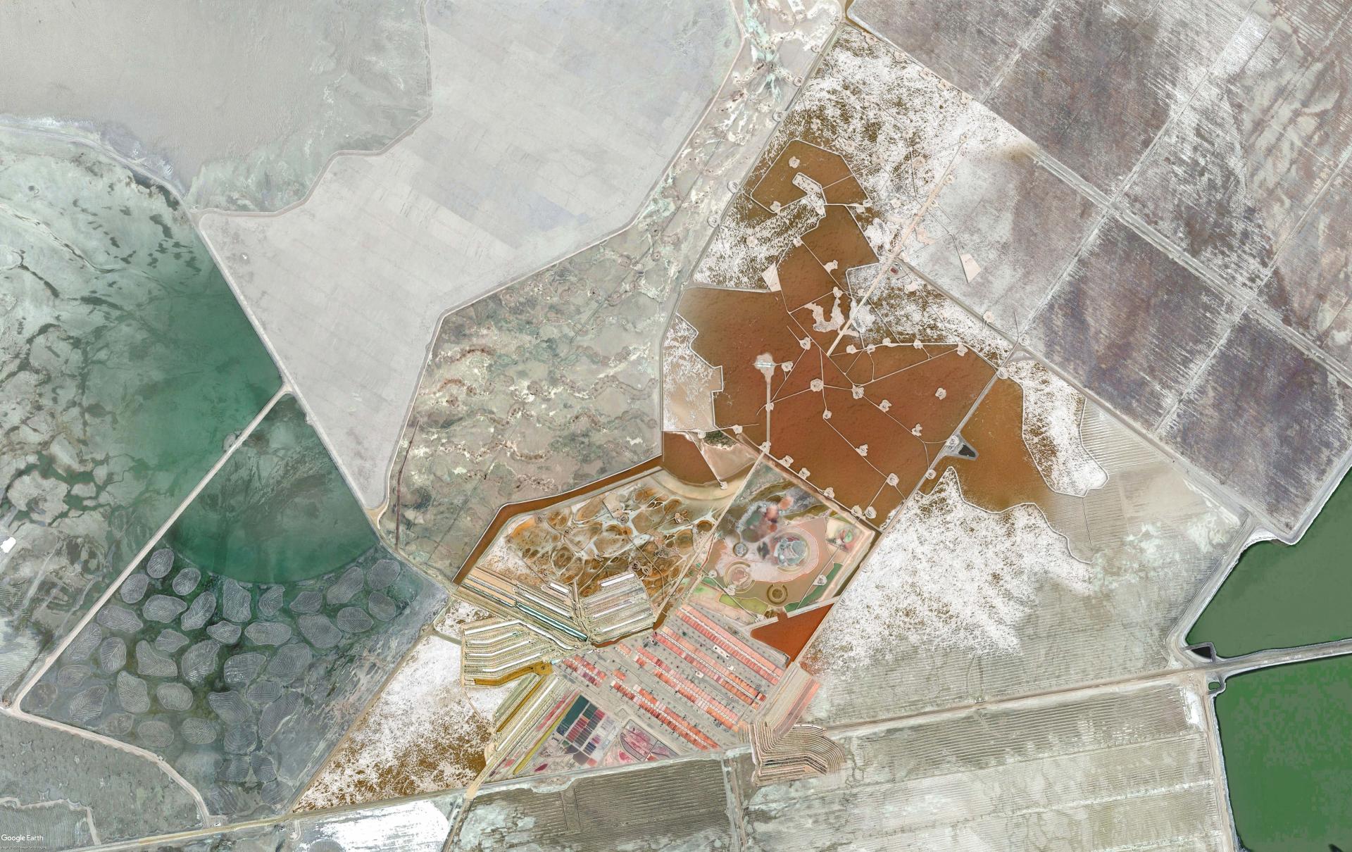 London Design Awards Winner - Saline Dreams: Ecologies of Coexistence