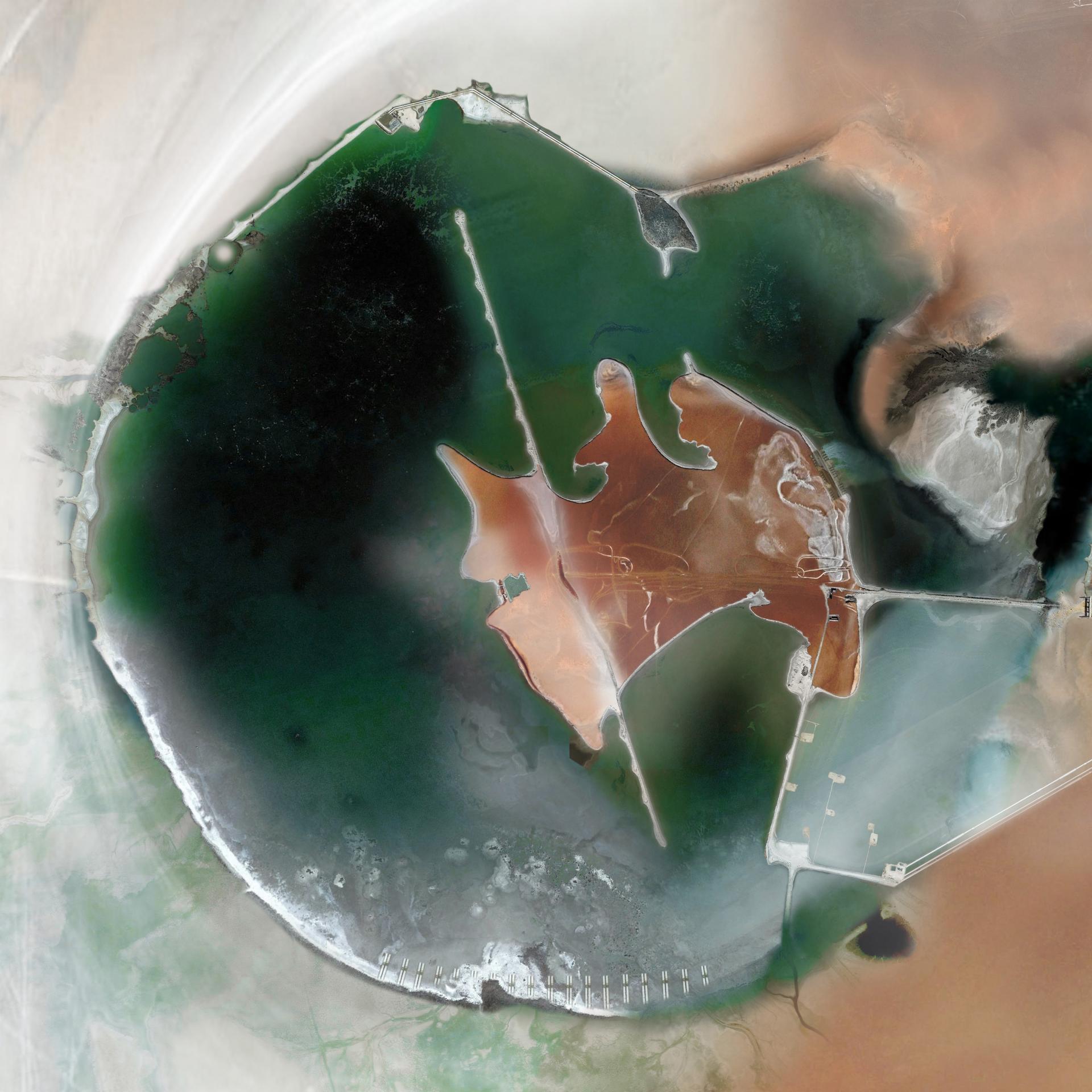 London Design Awards Winner - Saline Dreams: Ecologies of Coexistence