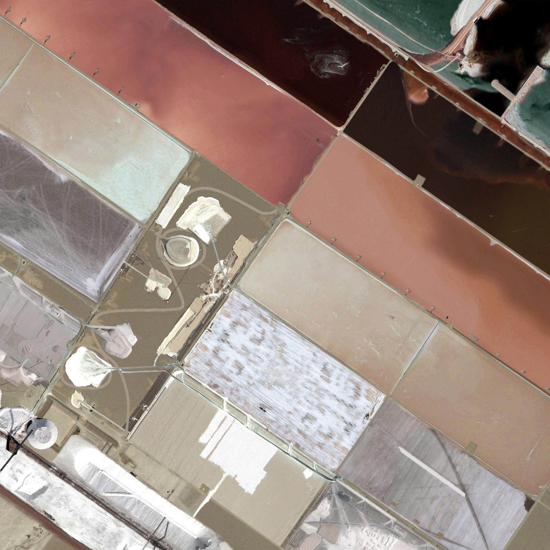 London Design Awards Winner - Saline Dreams: Ecologies of Coexistence