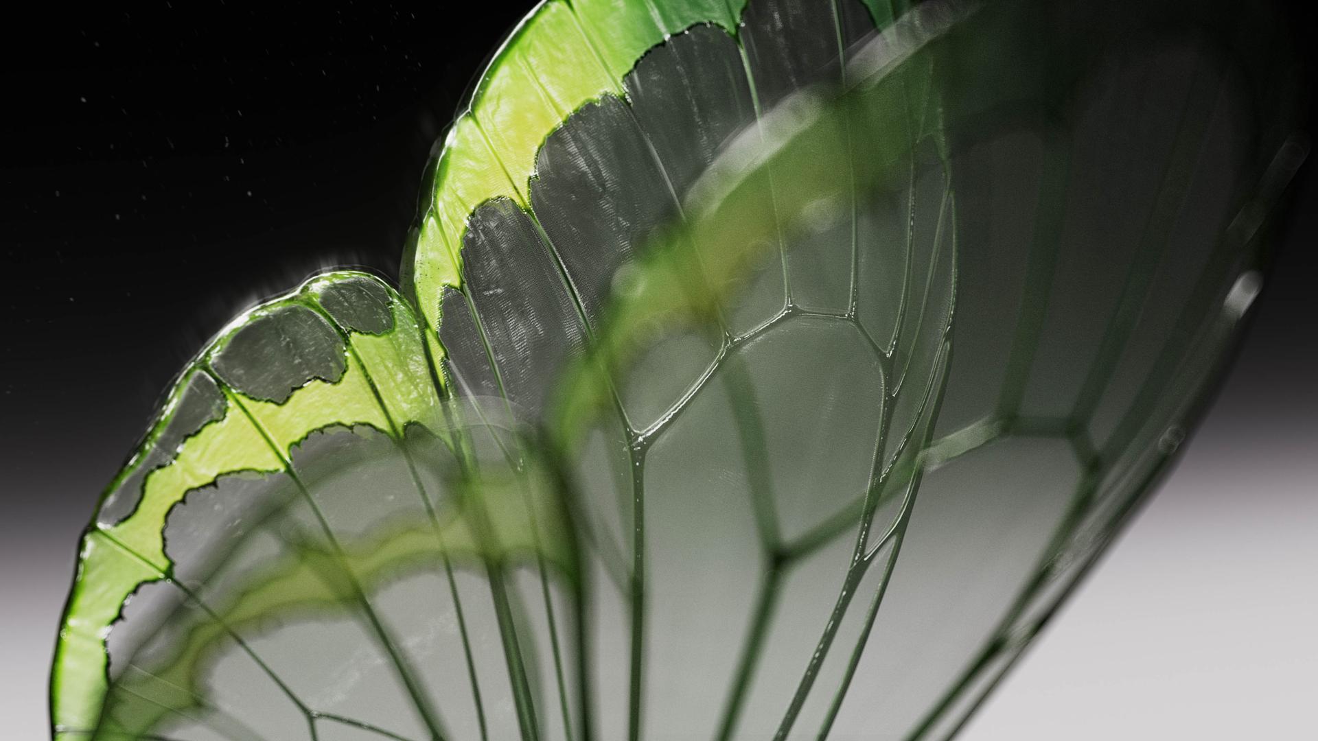 London Design Awards Winner - Oladance Promotional Video