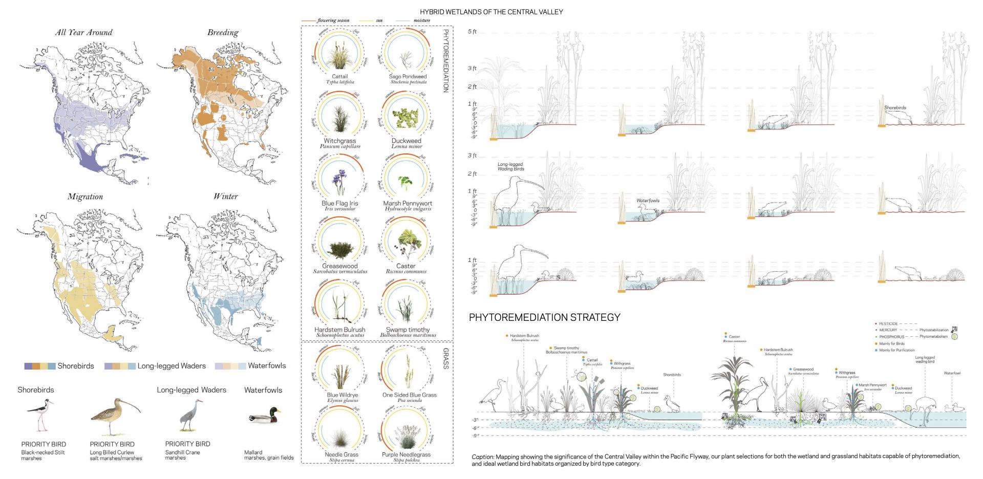 London Design Awards Winner - Hybrid Wetland
