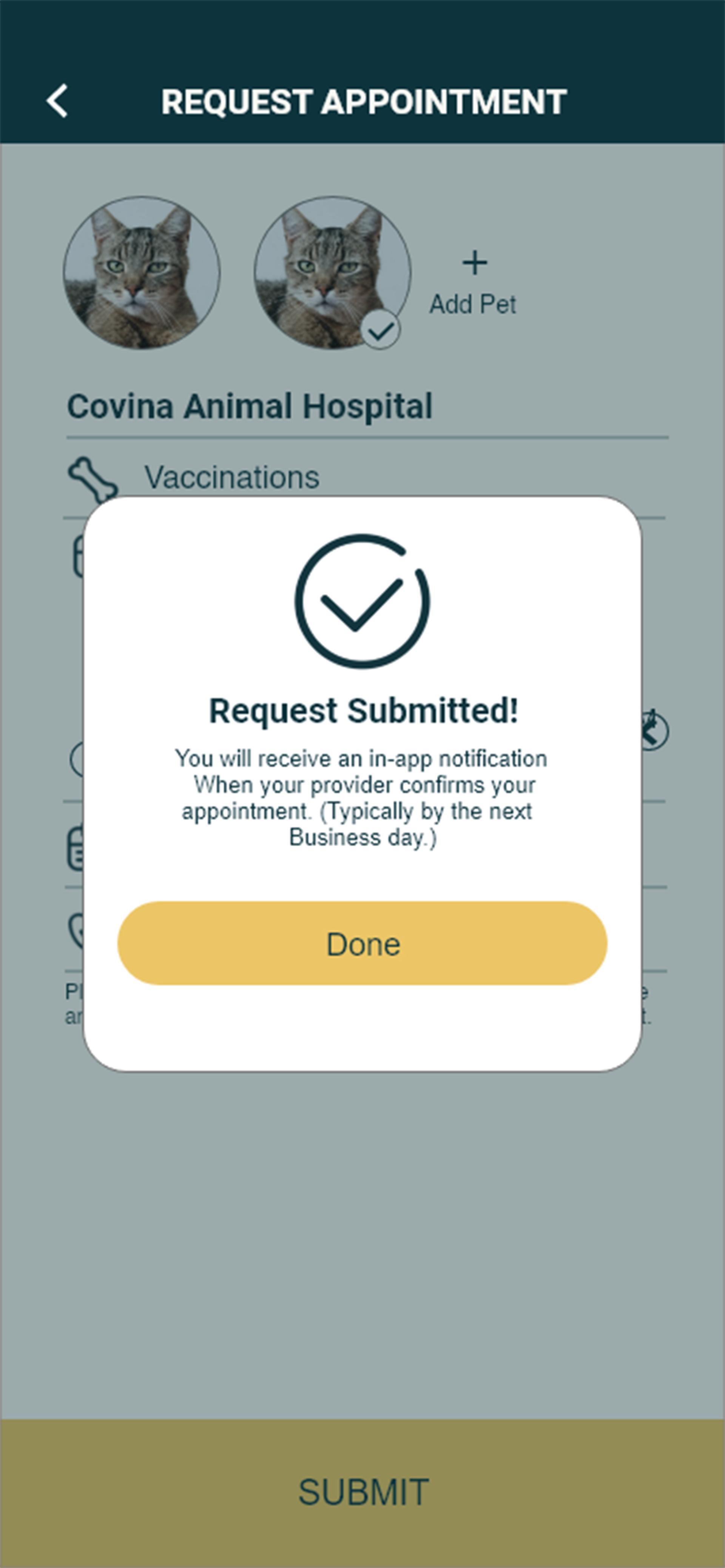 London Design Awards Winner - Petstify