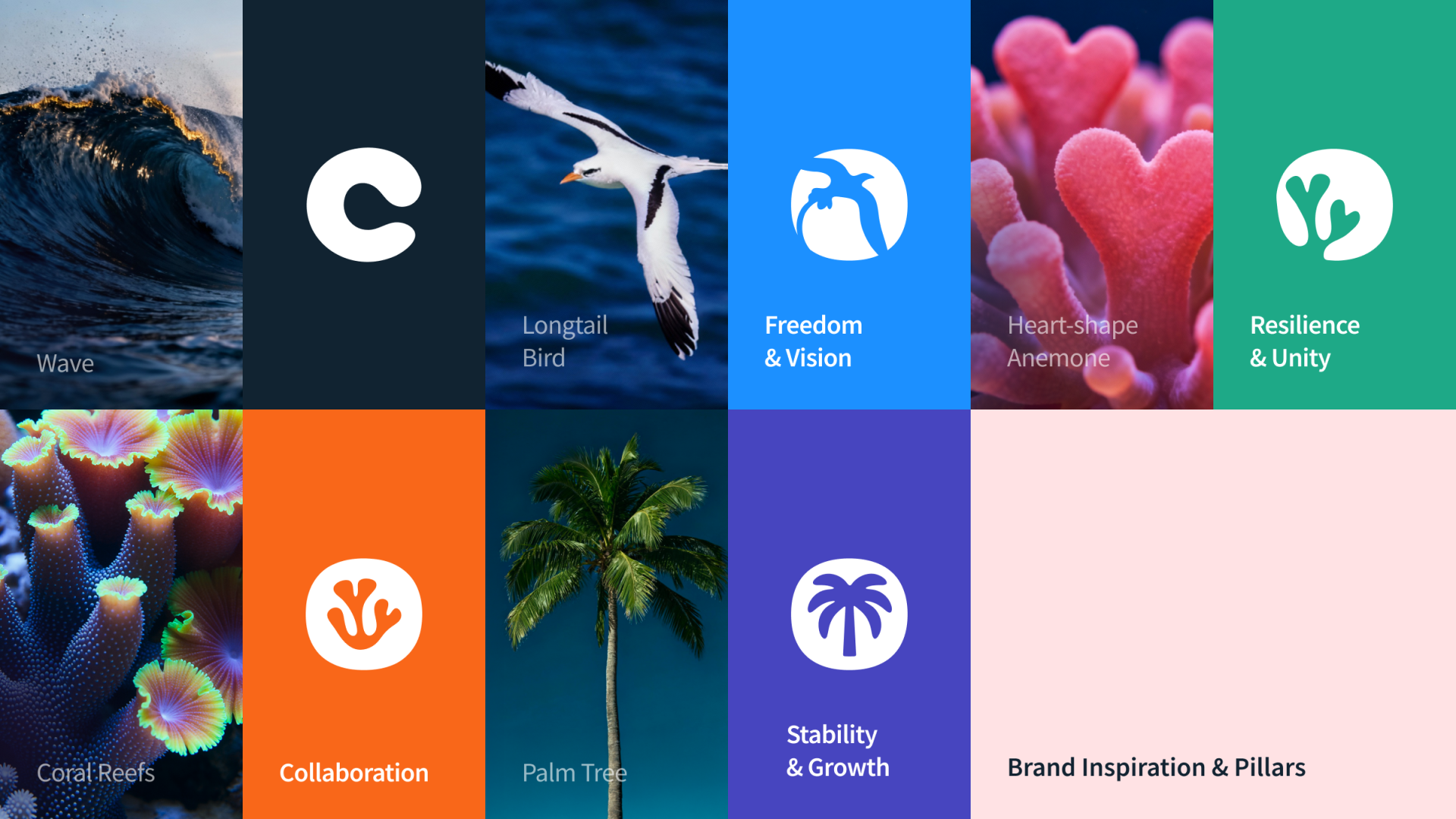 London Design Awards Winner - Cove Marketplace Brand Identity