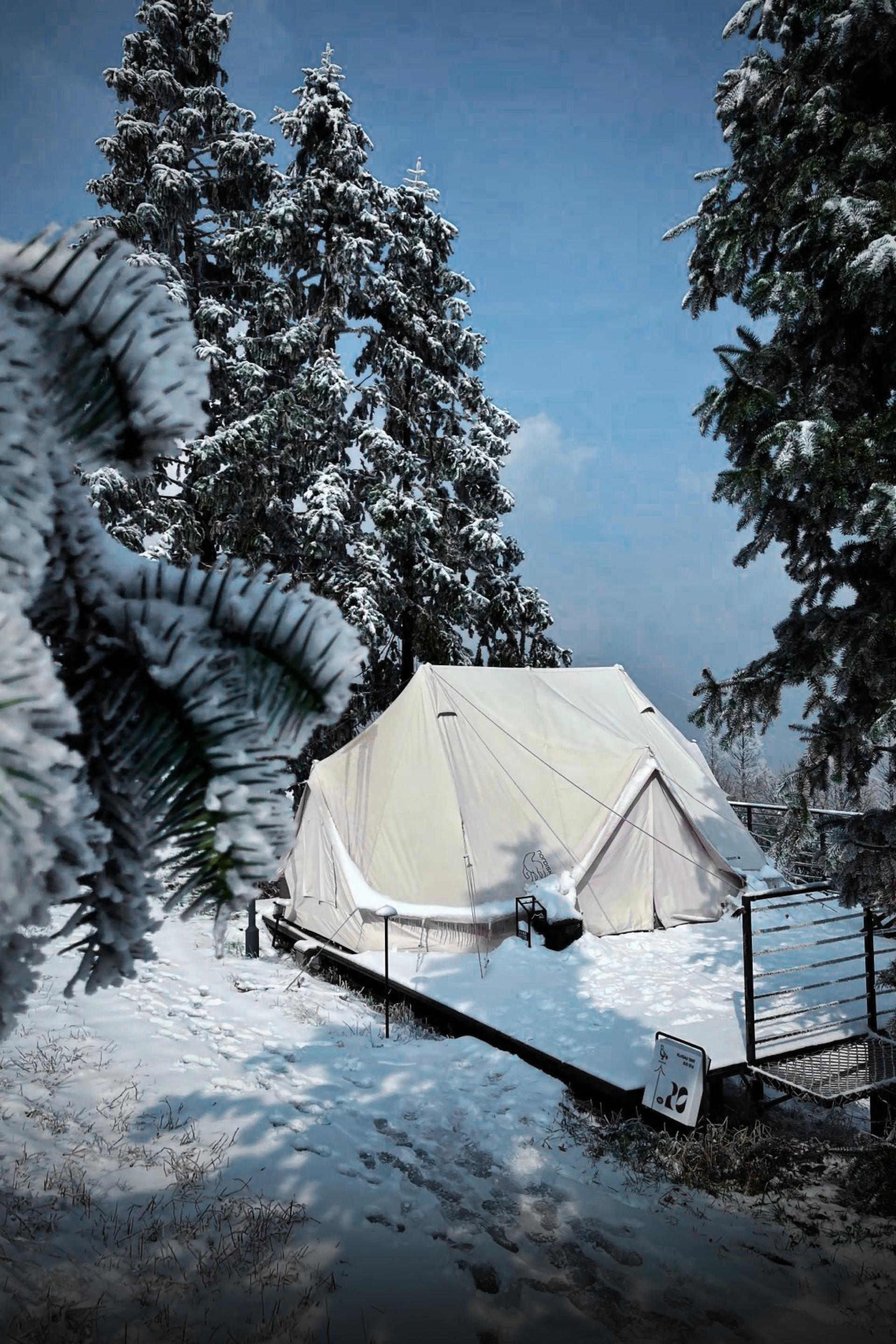 London Design Awards Winner - Refuge-moganshan campsite design
