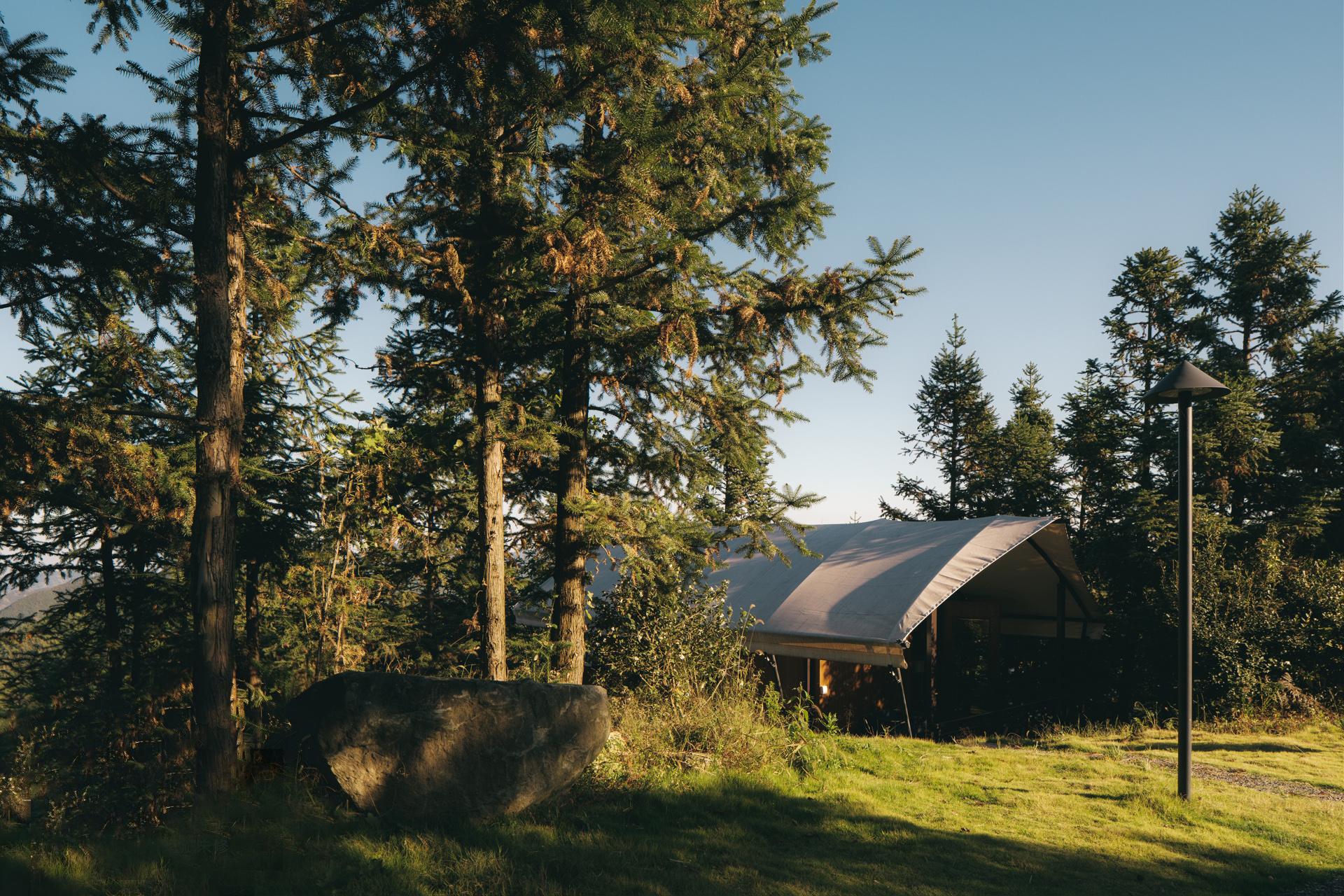 London Design Awards Winner - Refuge-moganshan campsite design